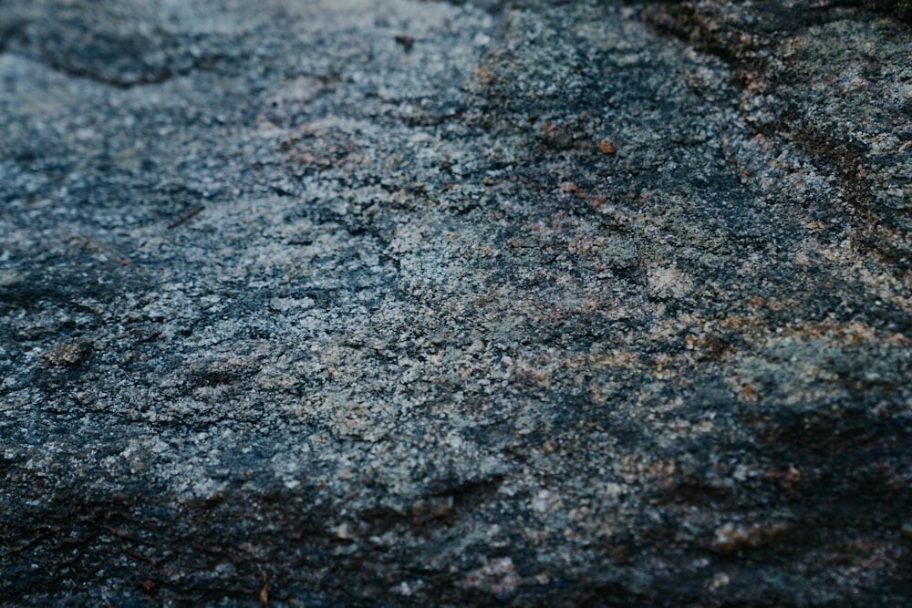 a close up view of a rock surface