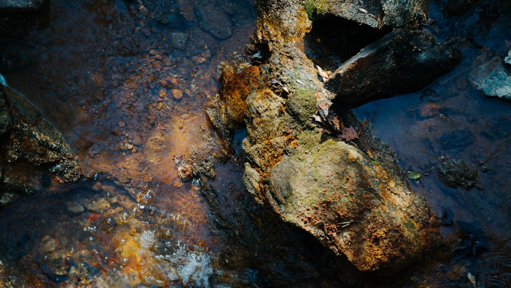 a close up of a rock in a body of water