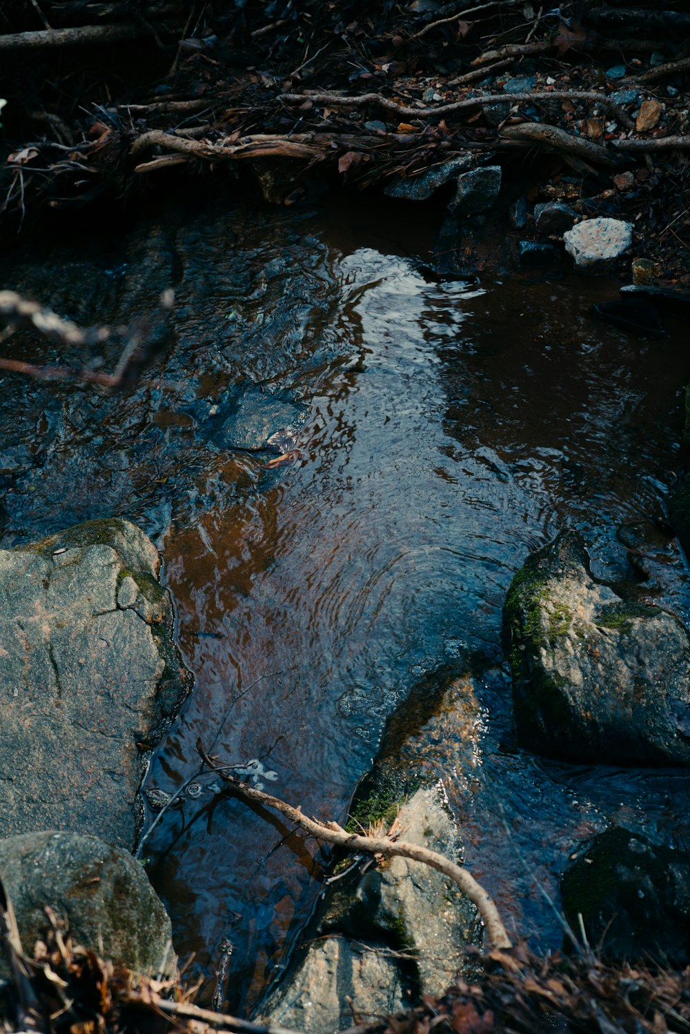 a small stream running through a forest filled with rocks