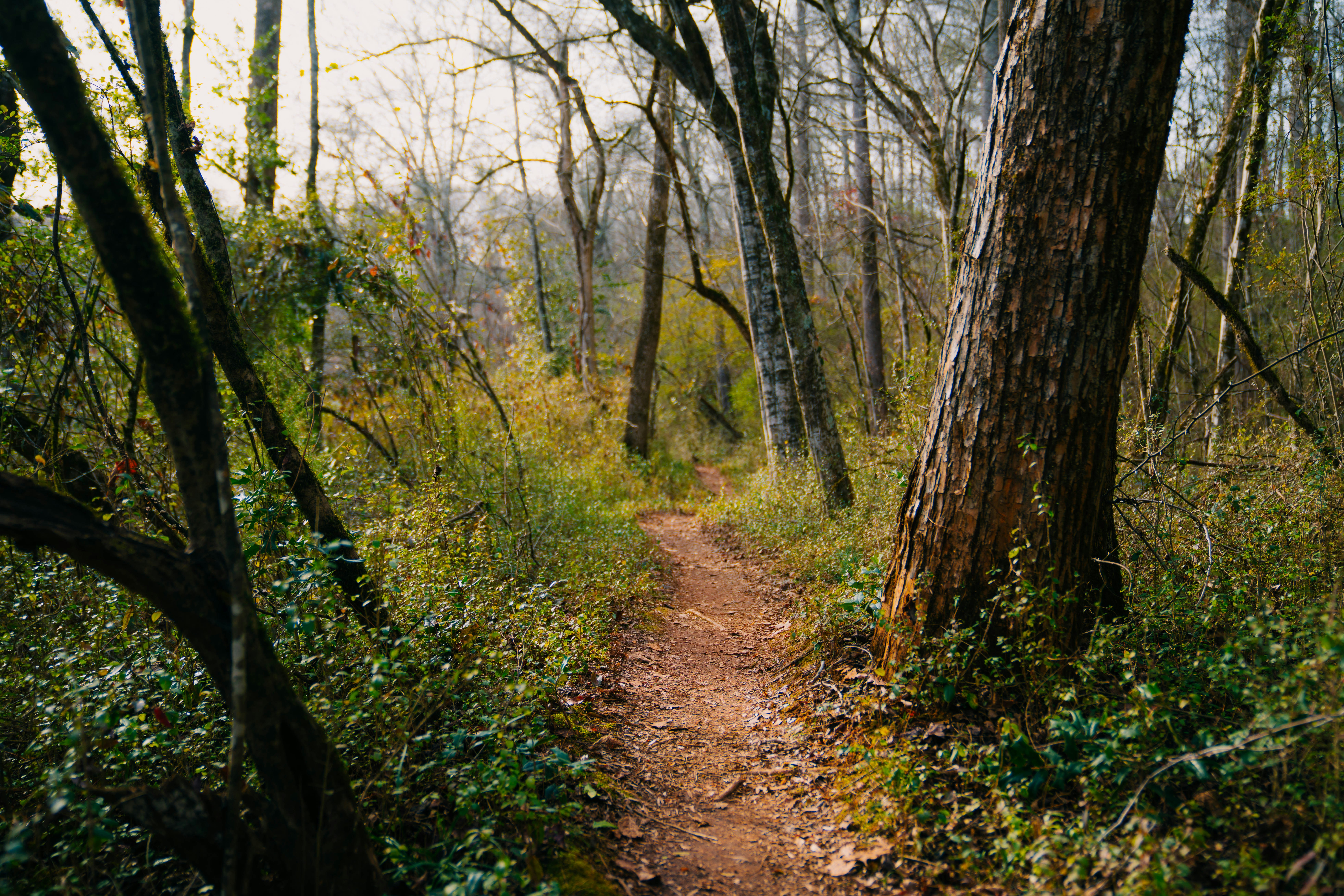 Photo by whitfieldjordan