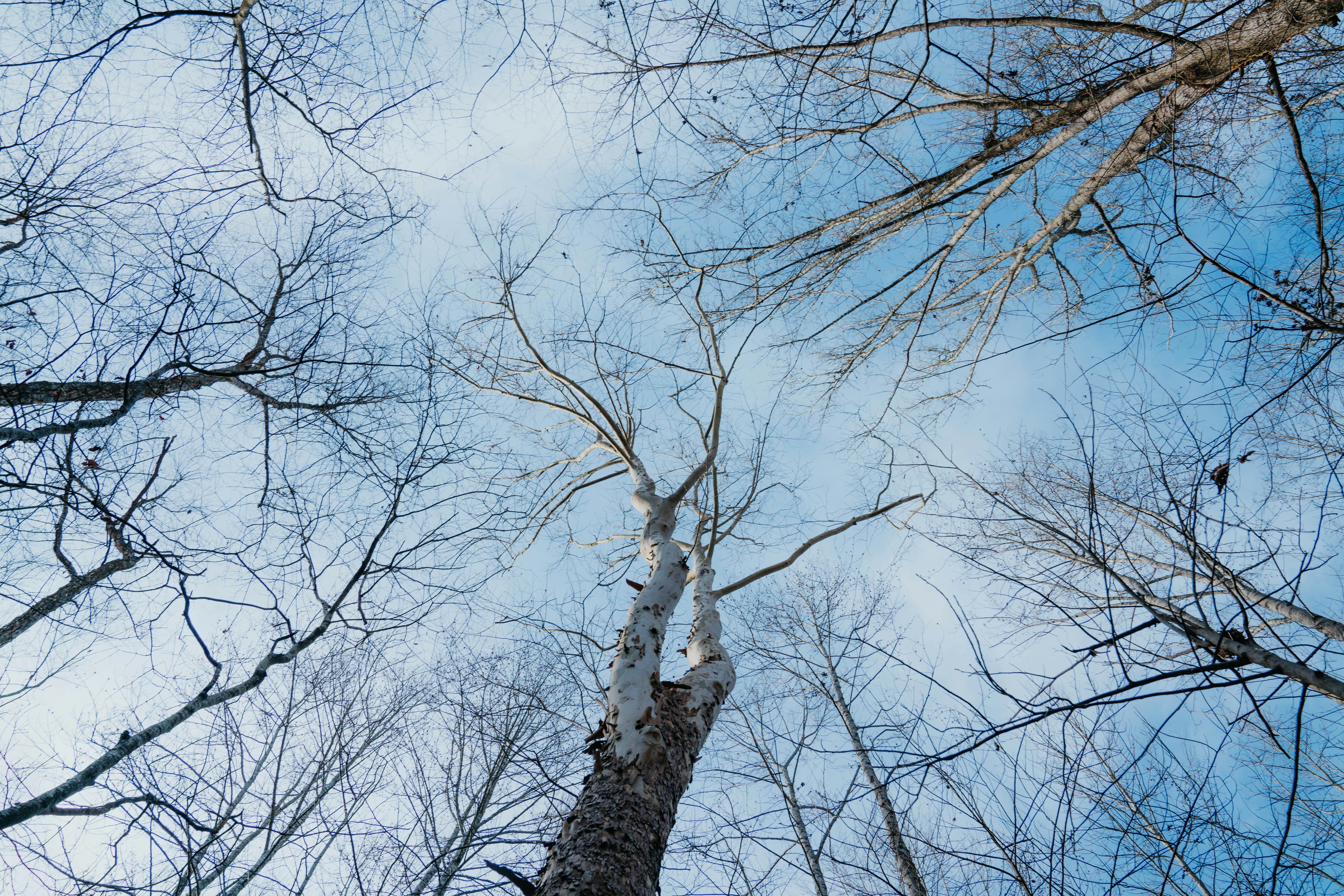 Photo by whitfieldjordan