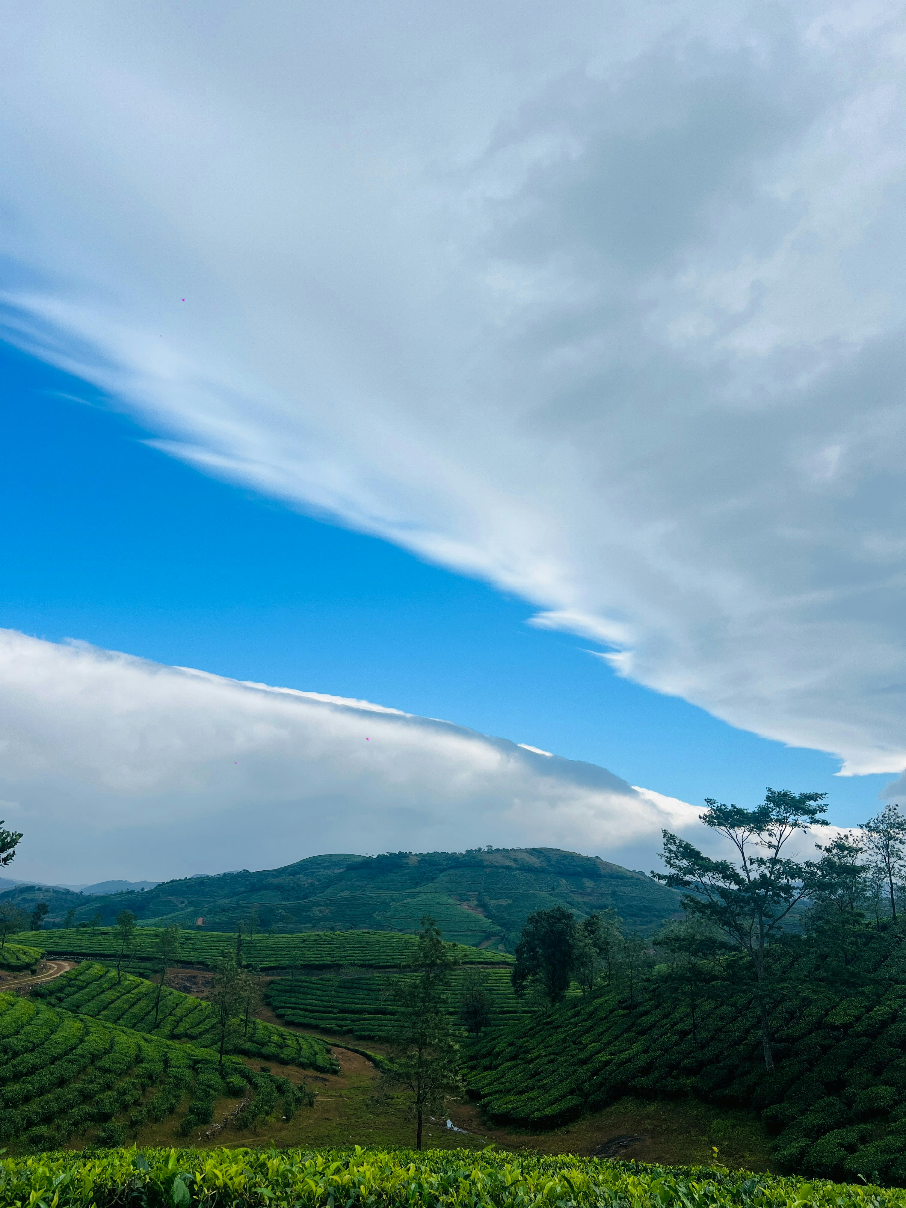 Photo by abinvarghese