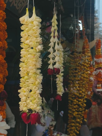a bunch of flowers that are hanging in the air