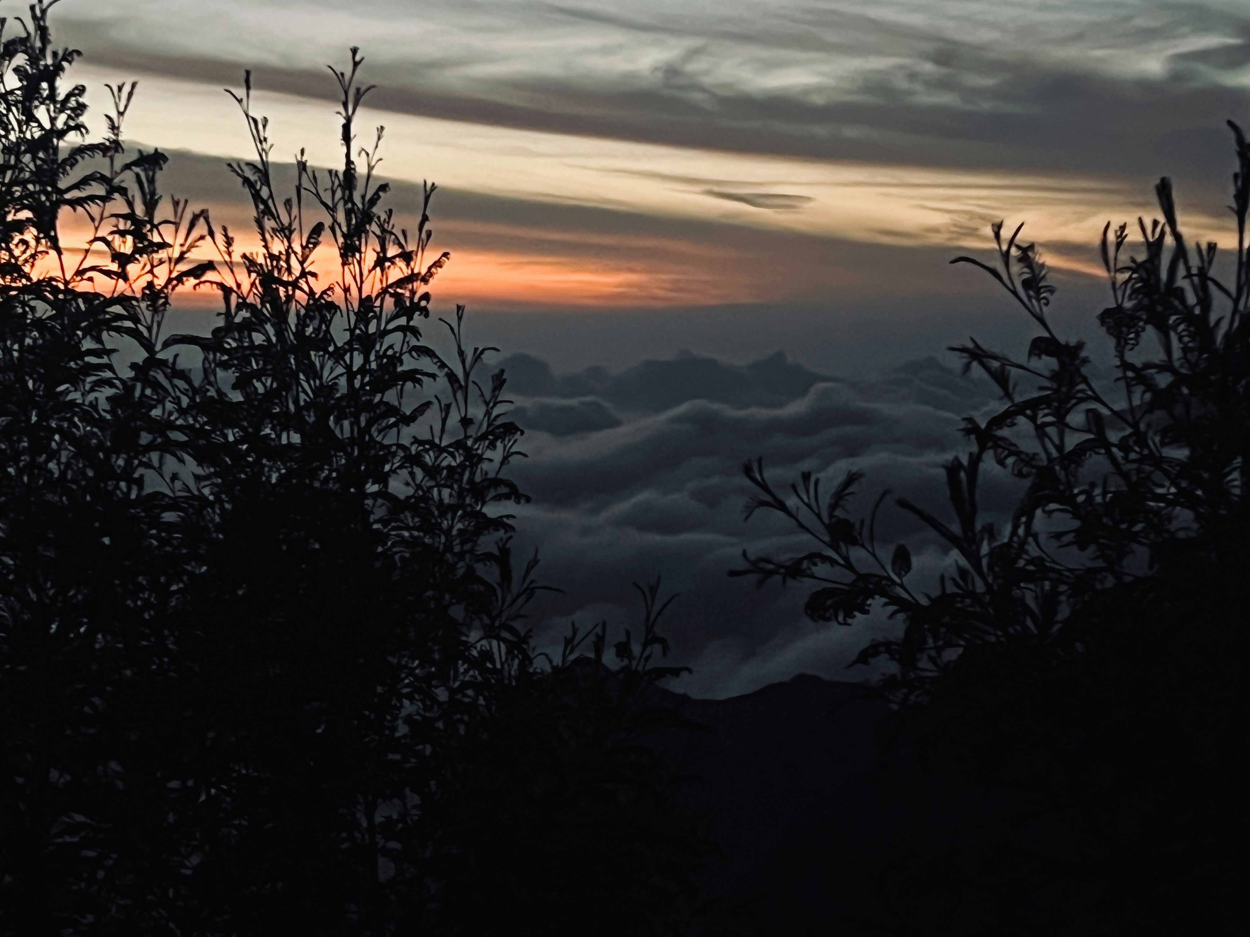 Photo by abinvarghese