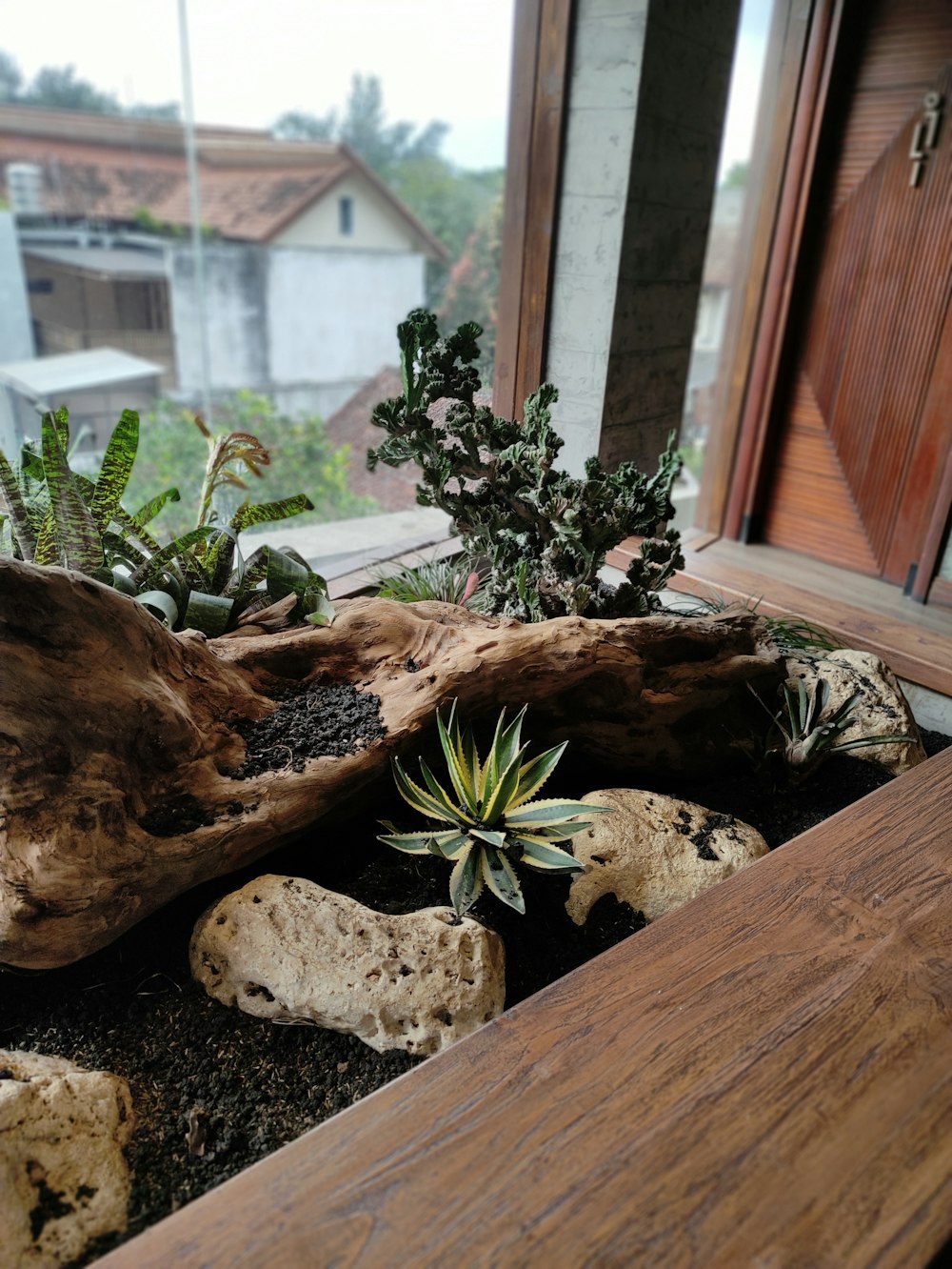 a window sill filled with plants and rocks