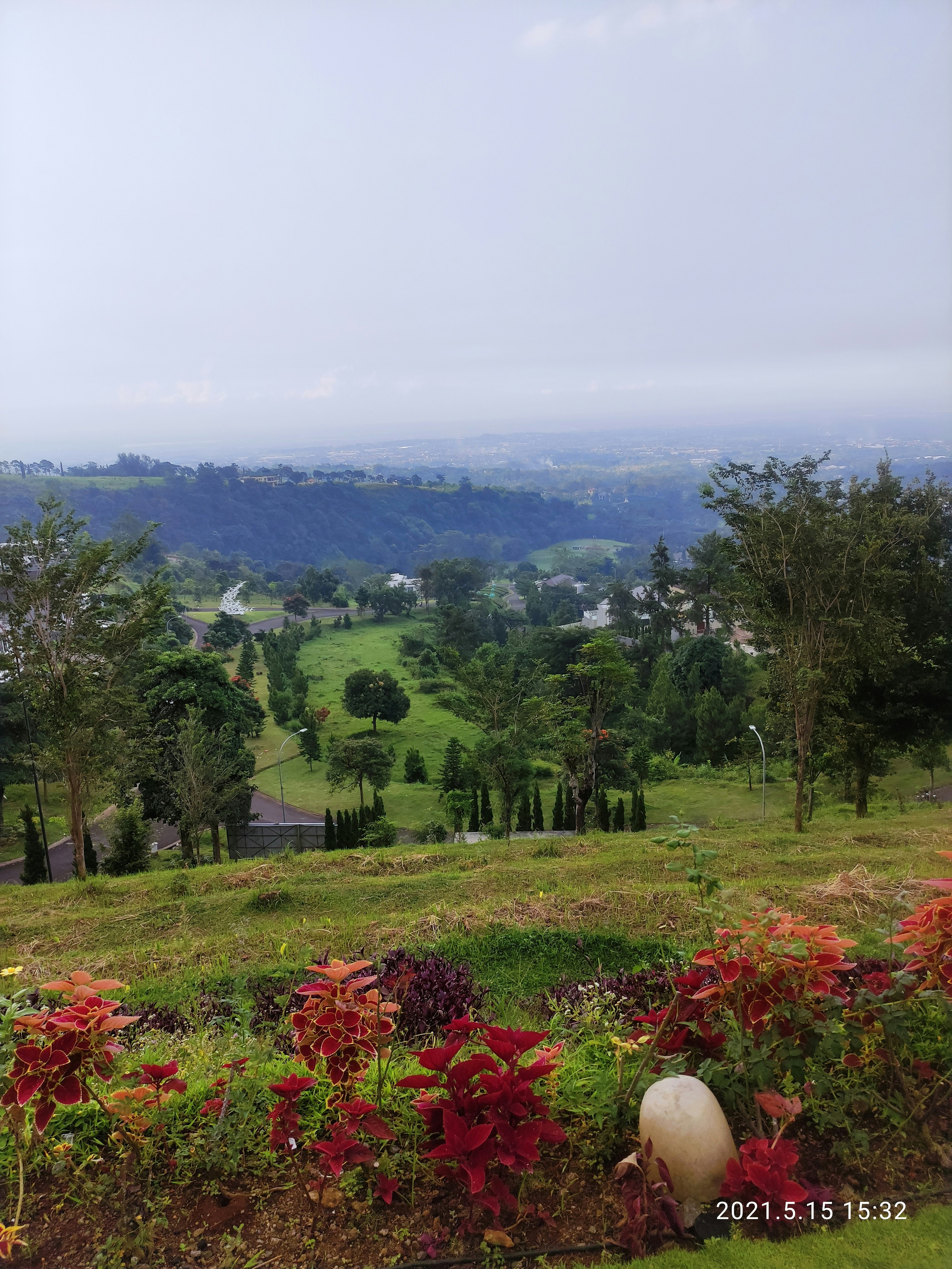 una exuberante ladera verde con muchos árboles y flores