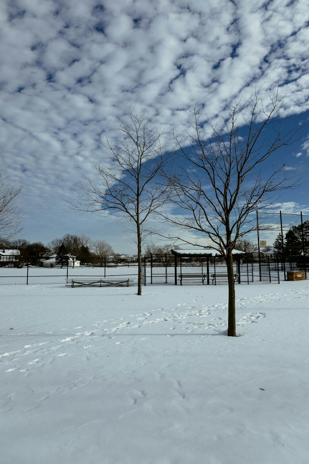 a snow covered field with trees and a fence