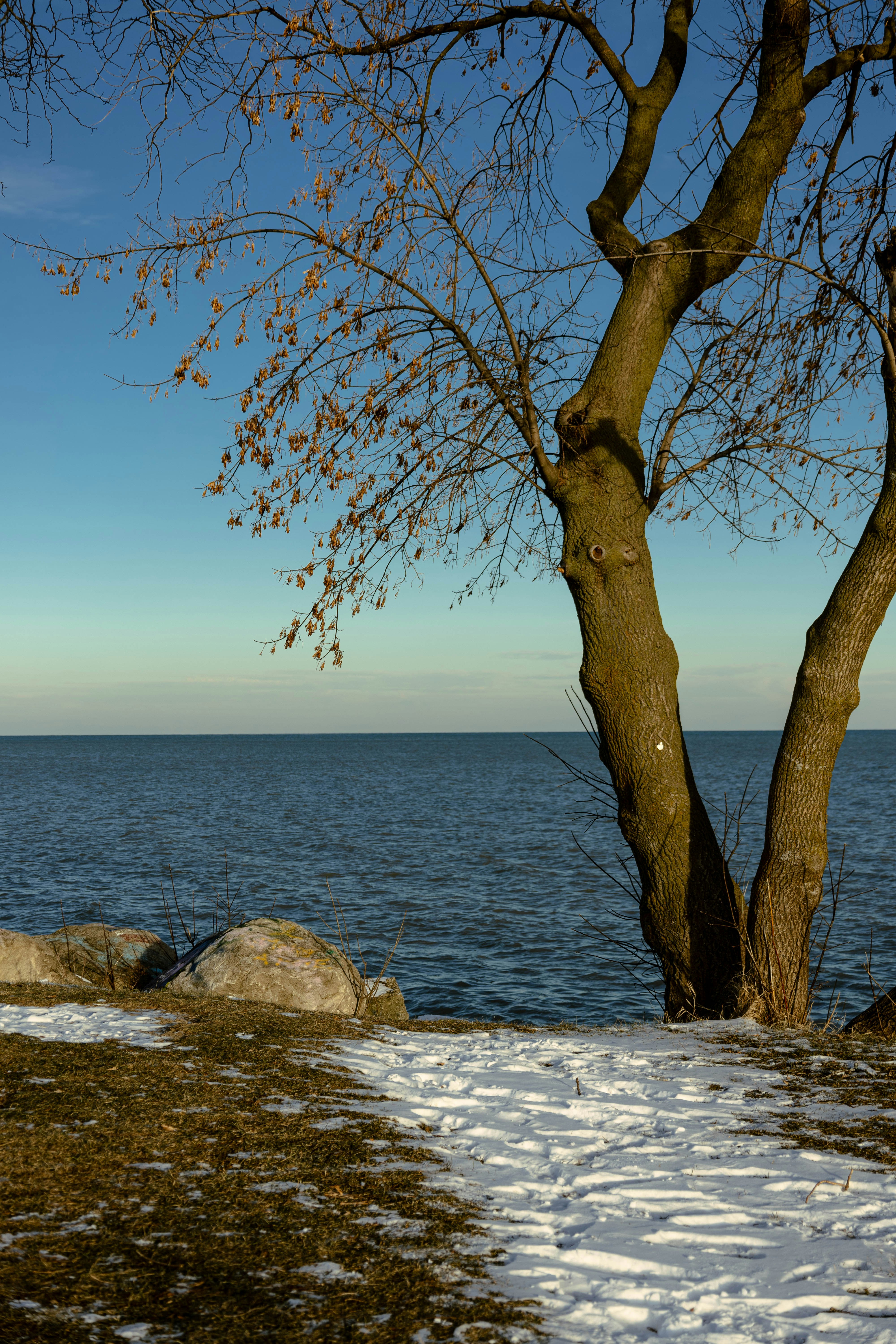 Photo by vincentyuan87