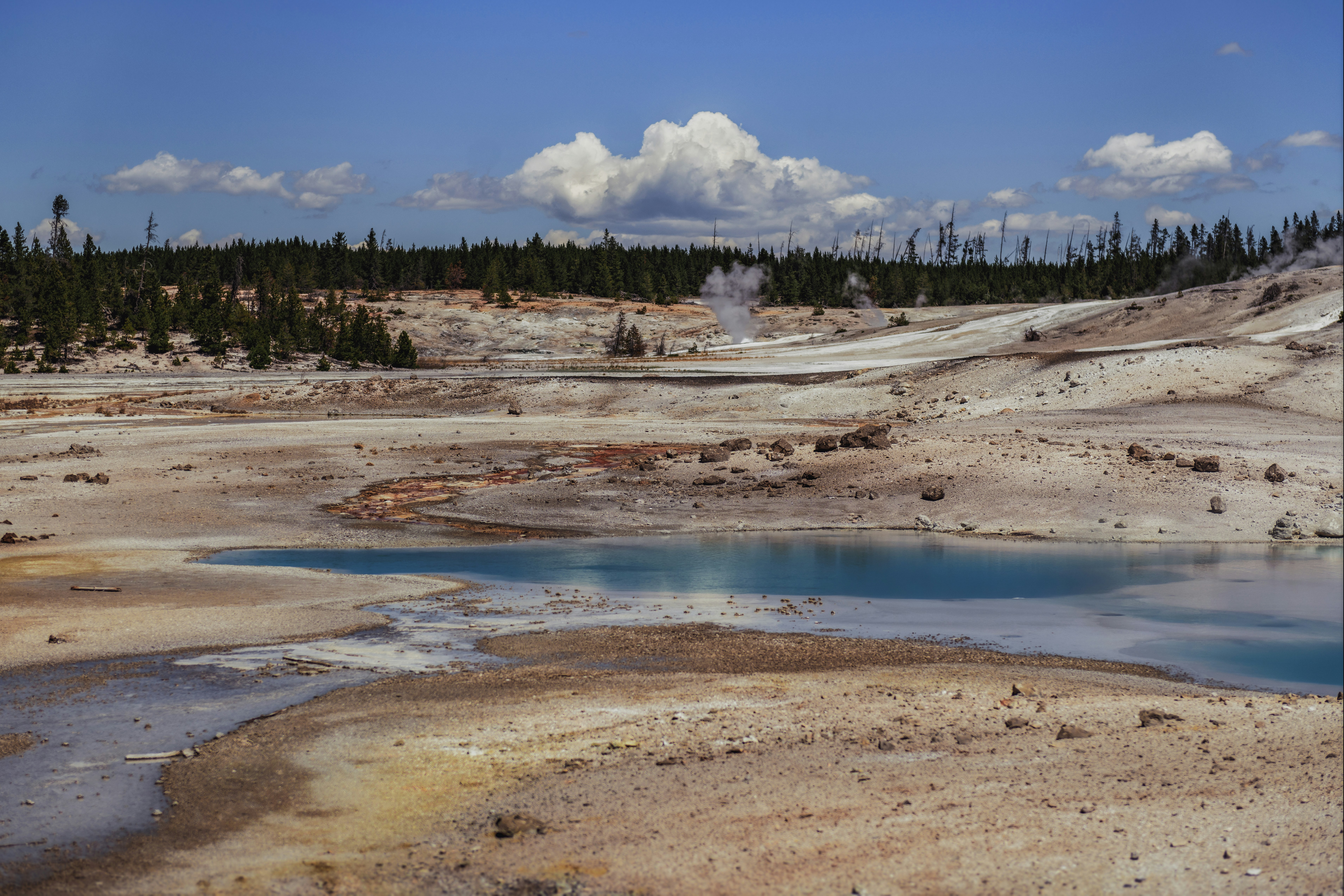 a large body of water surrounded by trees