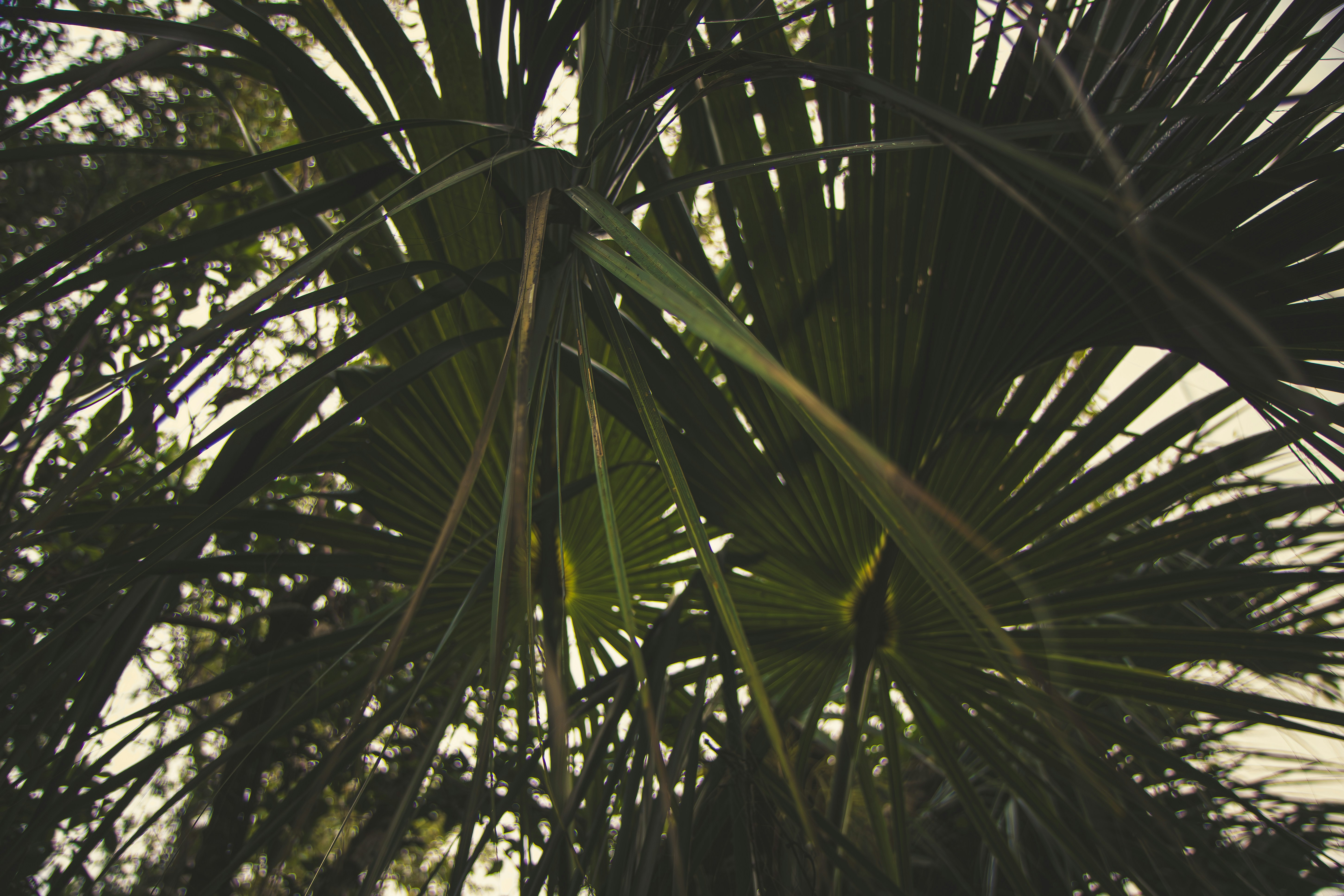 Photo by brice_cooper18