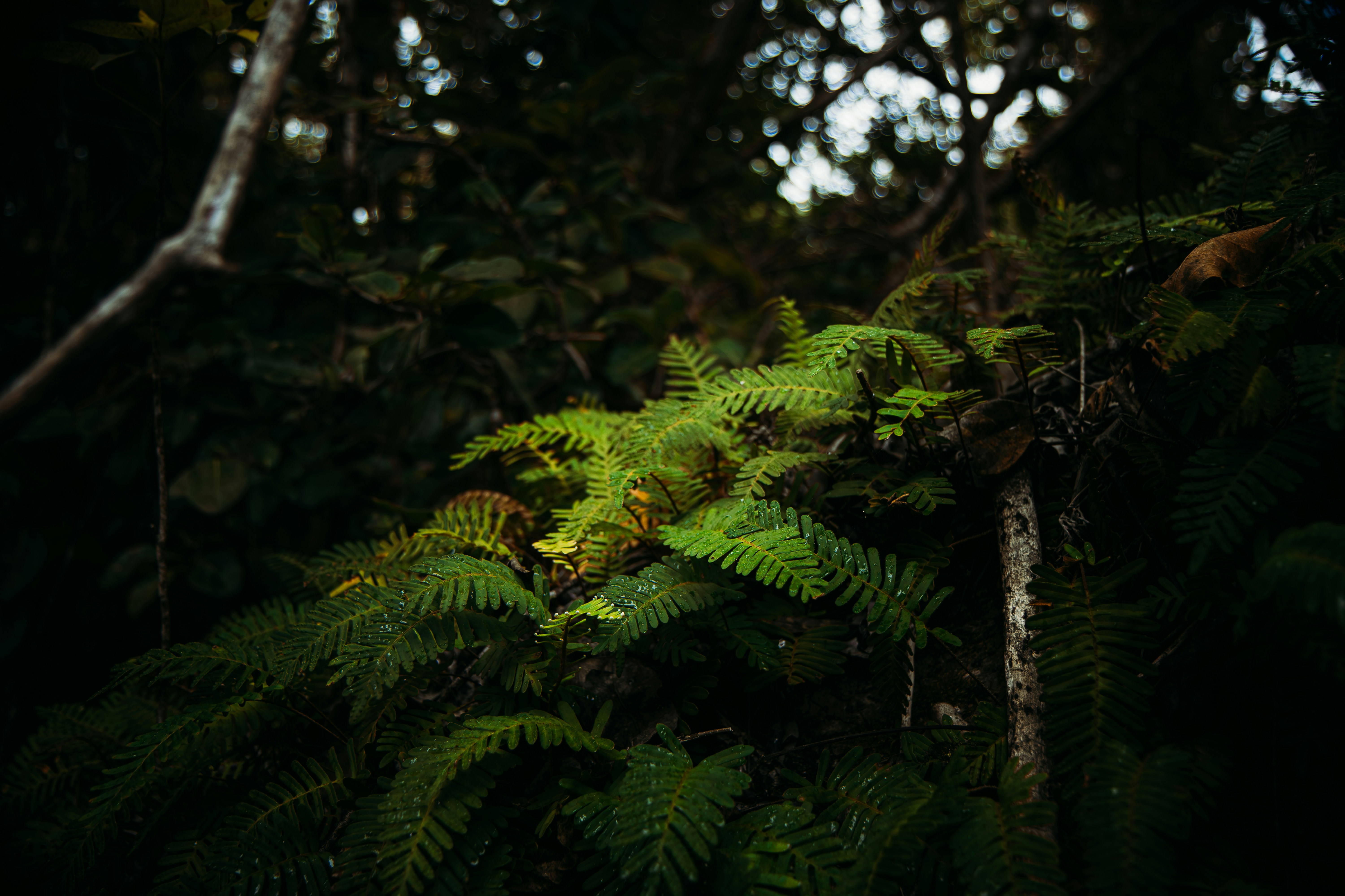 Photo by brice_cooper18