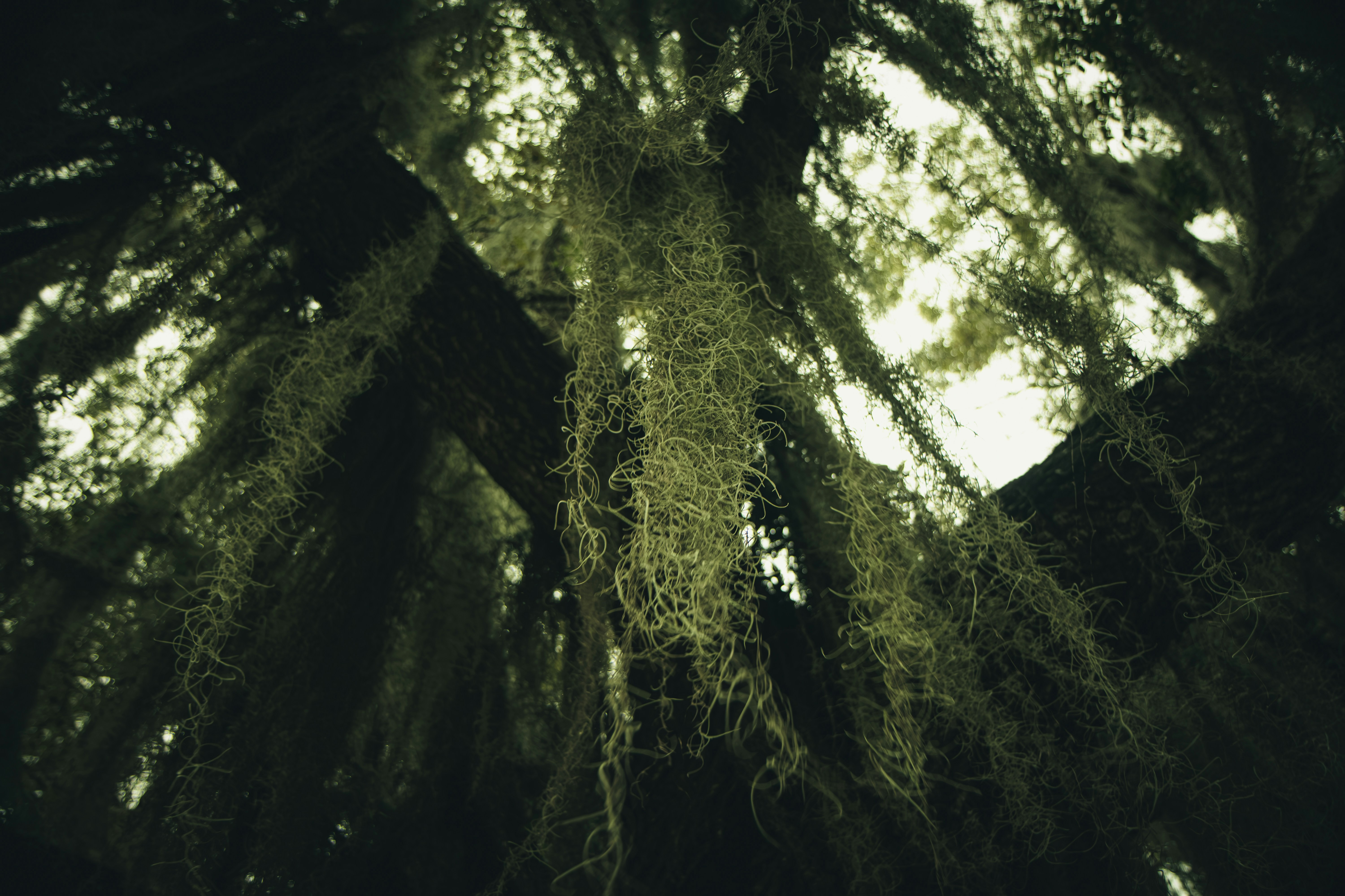 Photo by brice_cooper18