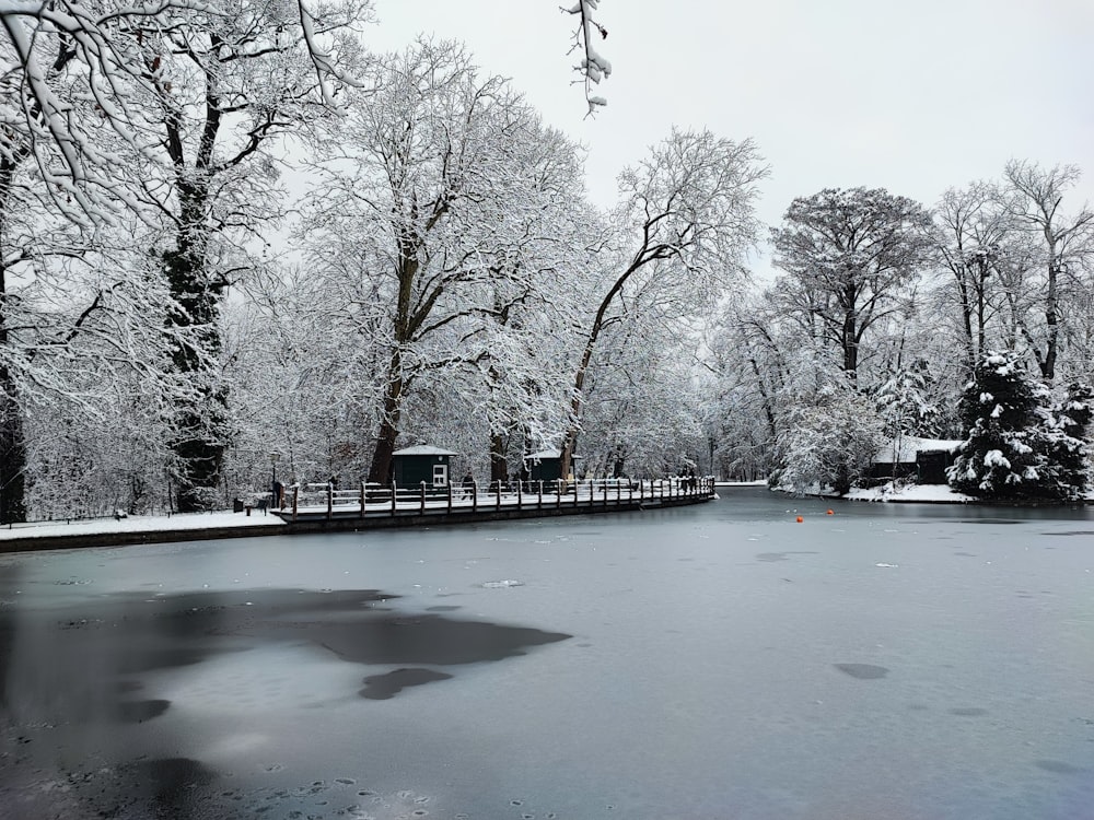a frozen pond surrounded by trees and benches