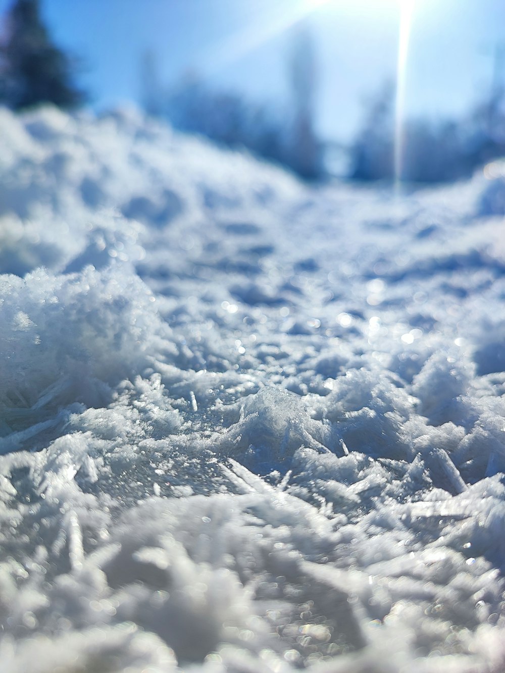 a close up of a snow covered ground with trees in the background