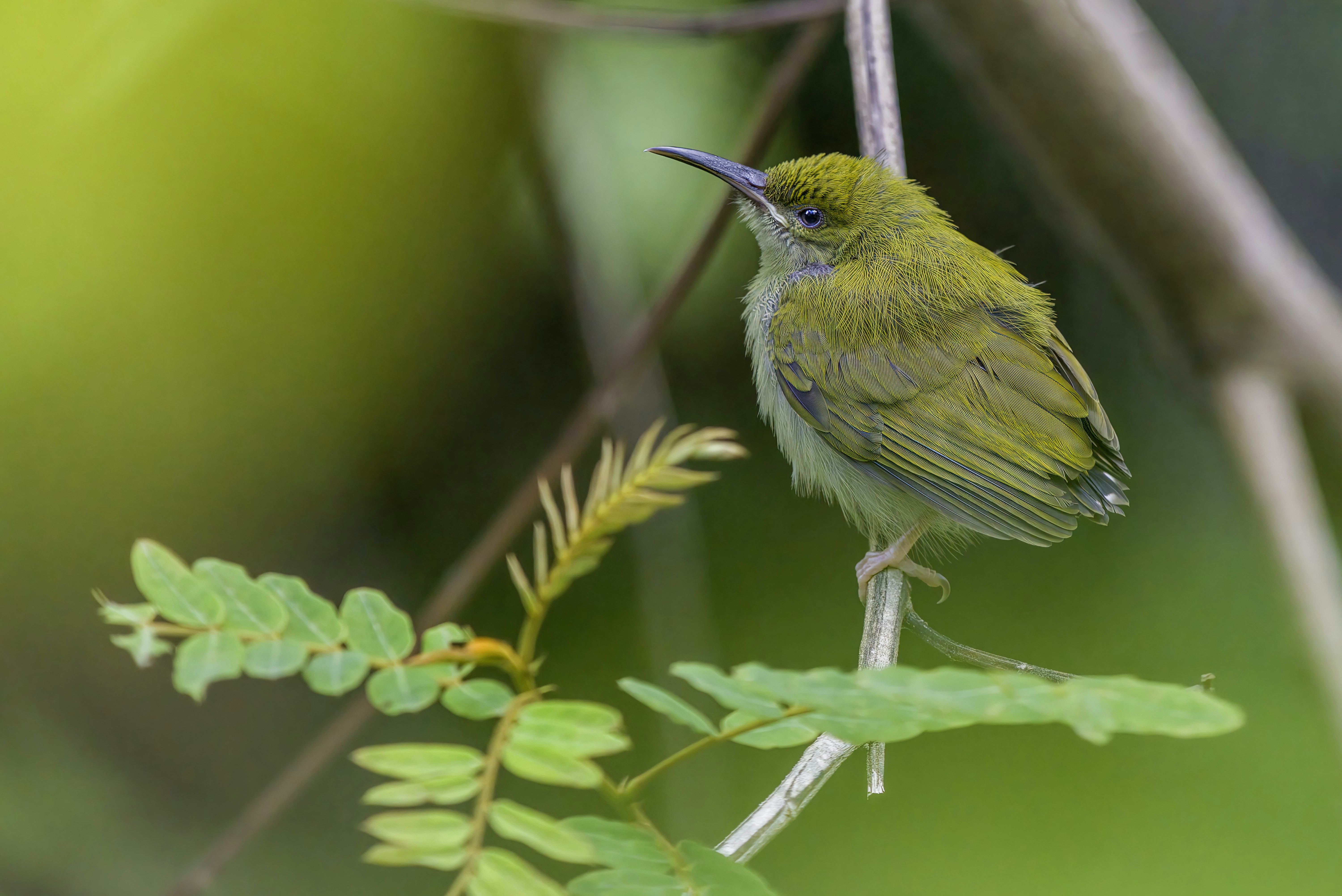 Photo by erik_karits