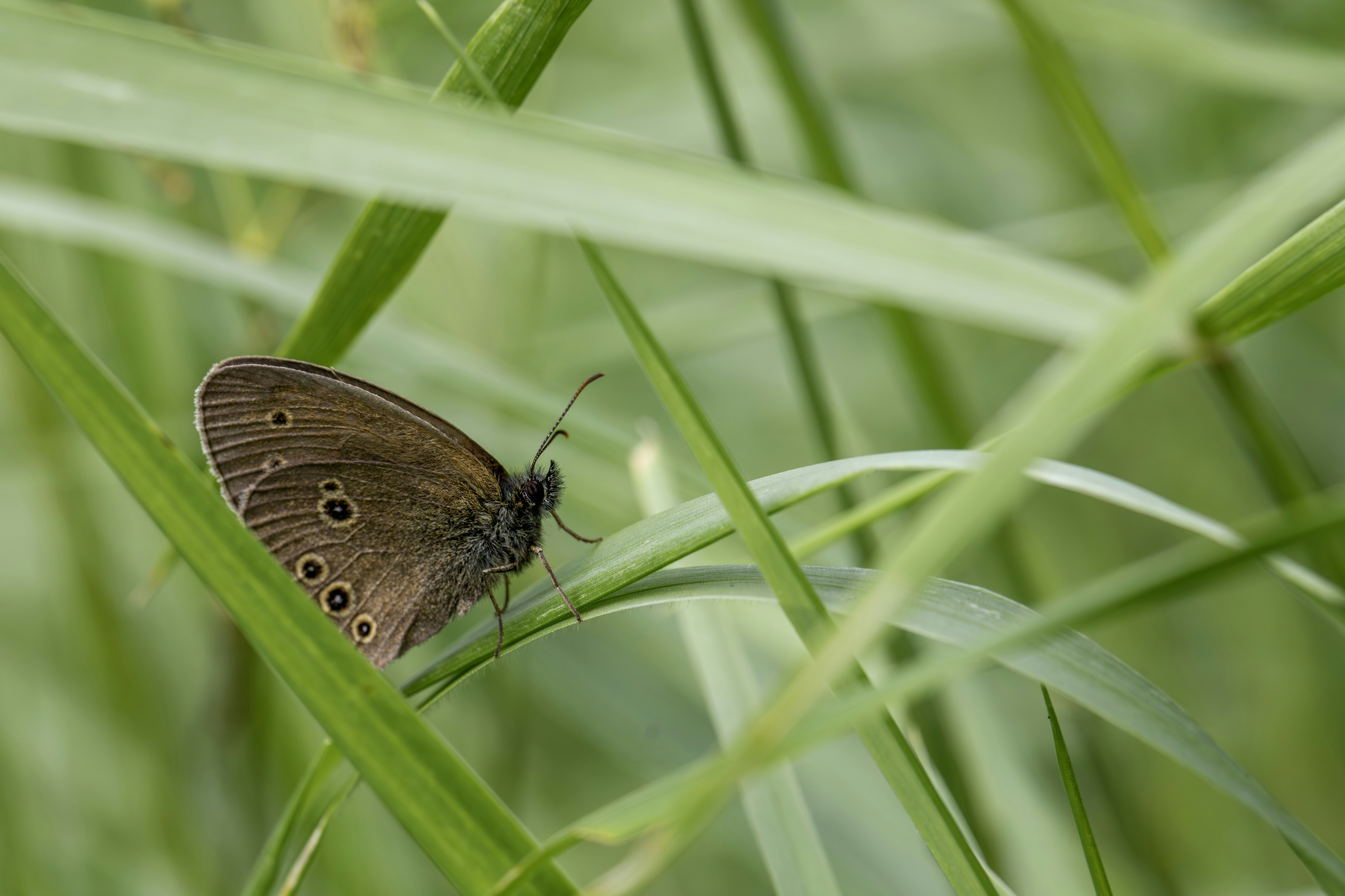 Photo by erik_karits