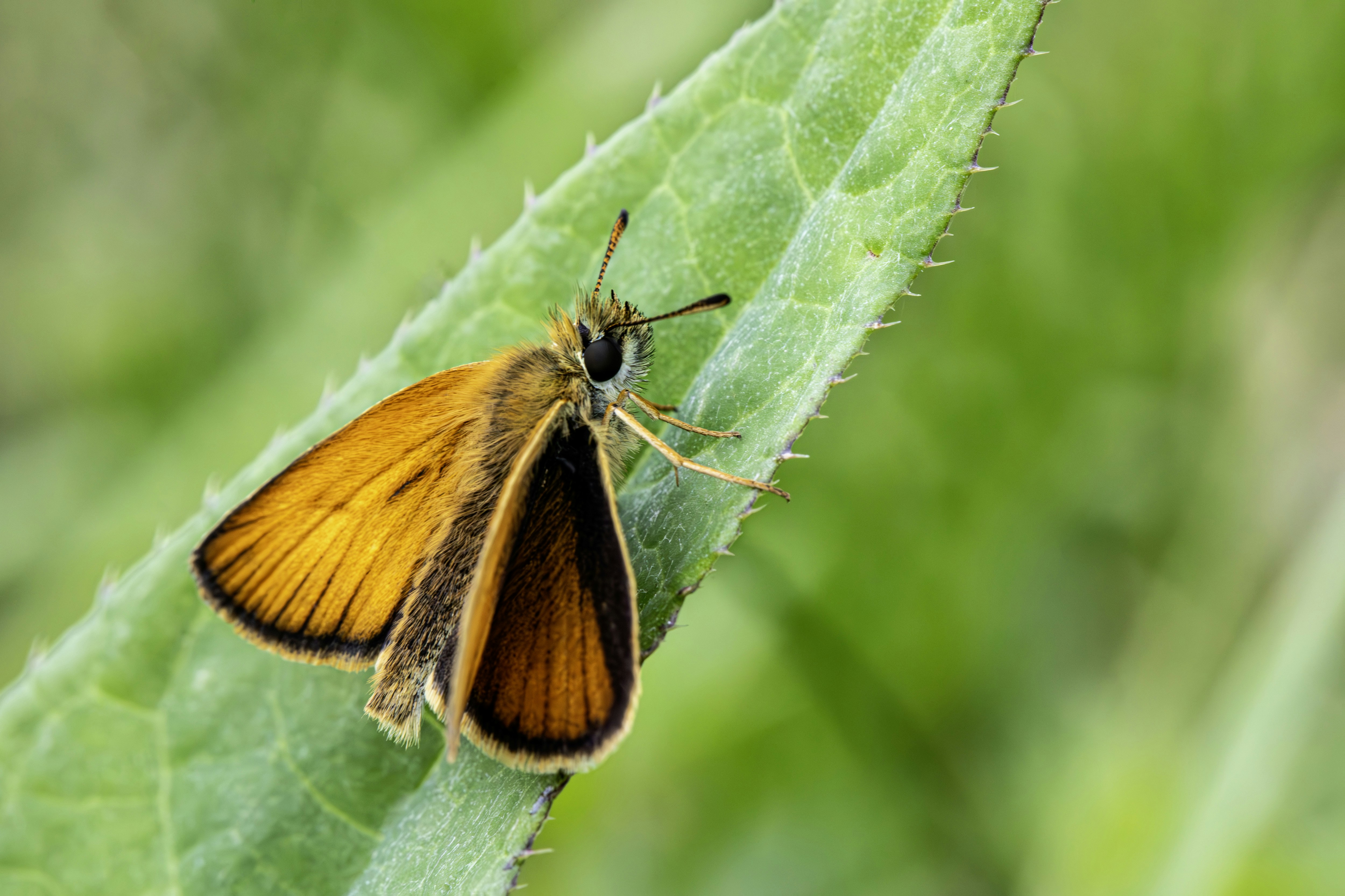 Photo by erik_karits