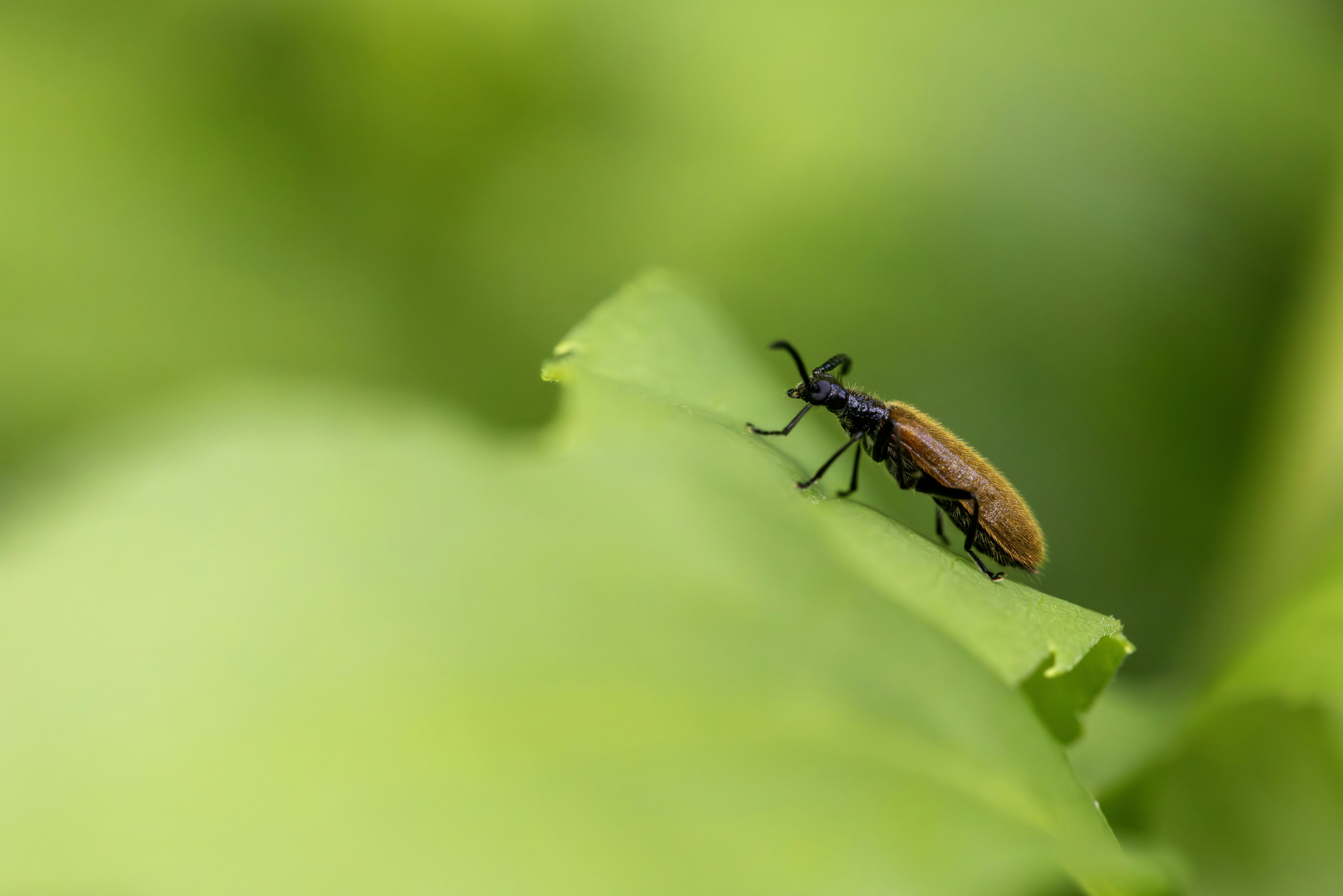 Photo by erik_karits