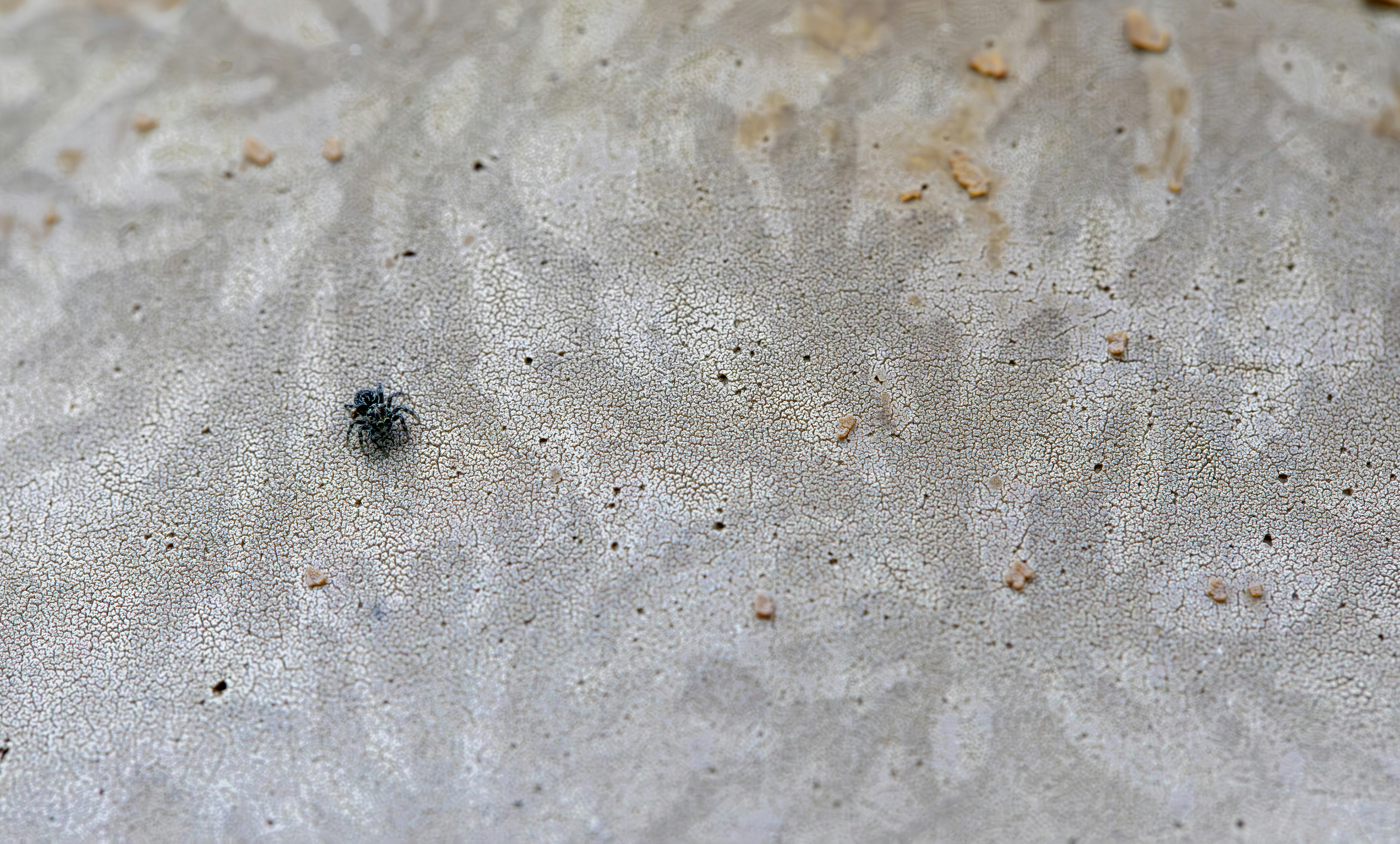 Photo by erik_karits