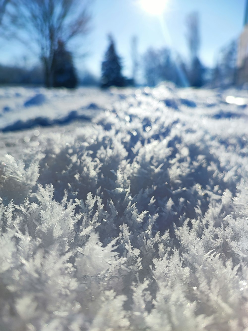 a snow covered field with trees in the background