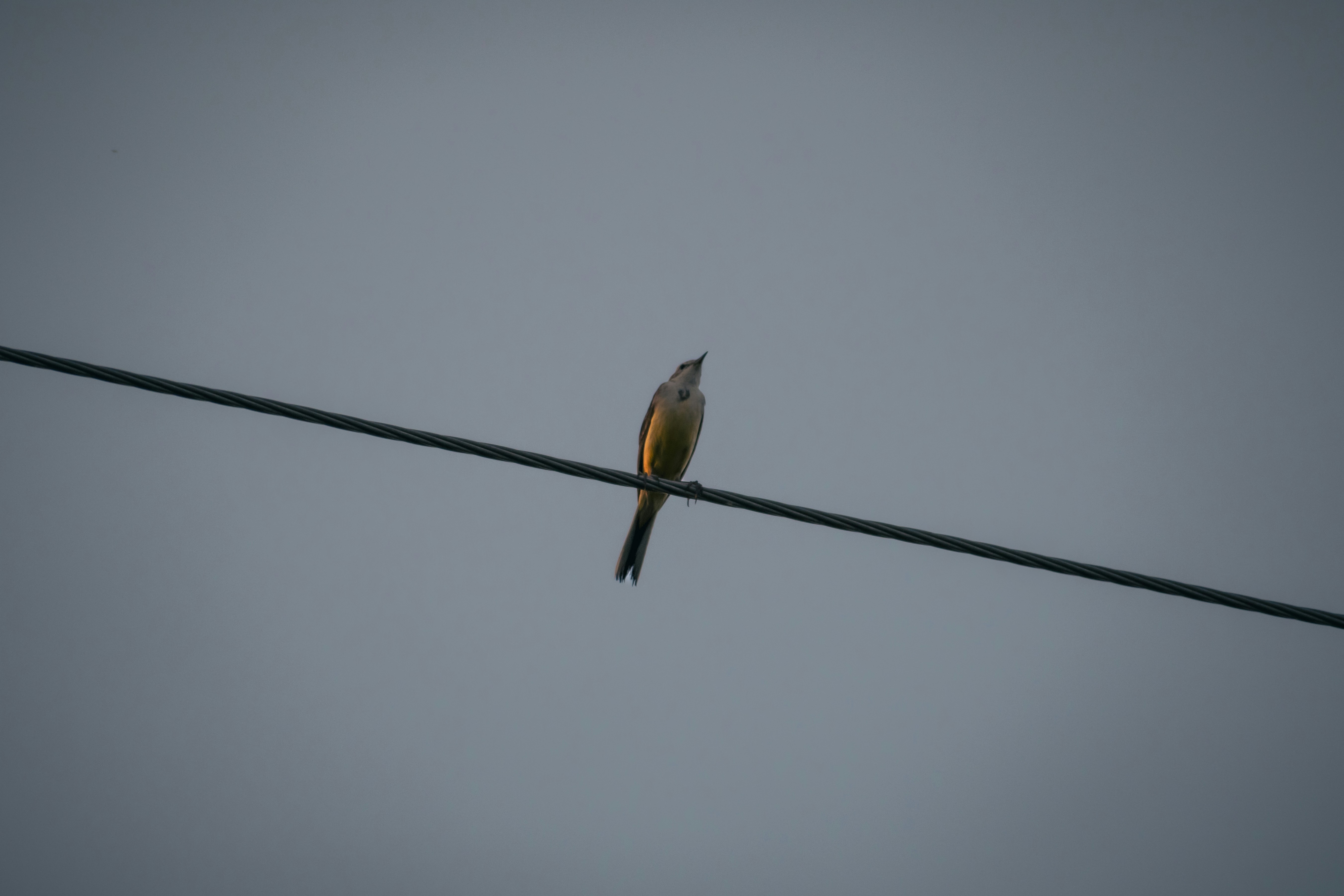 Photo by darkmoon_afa