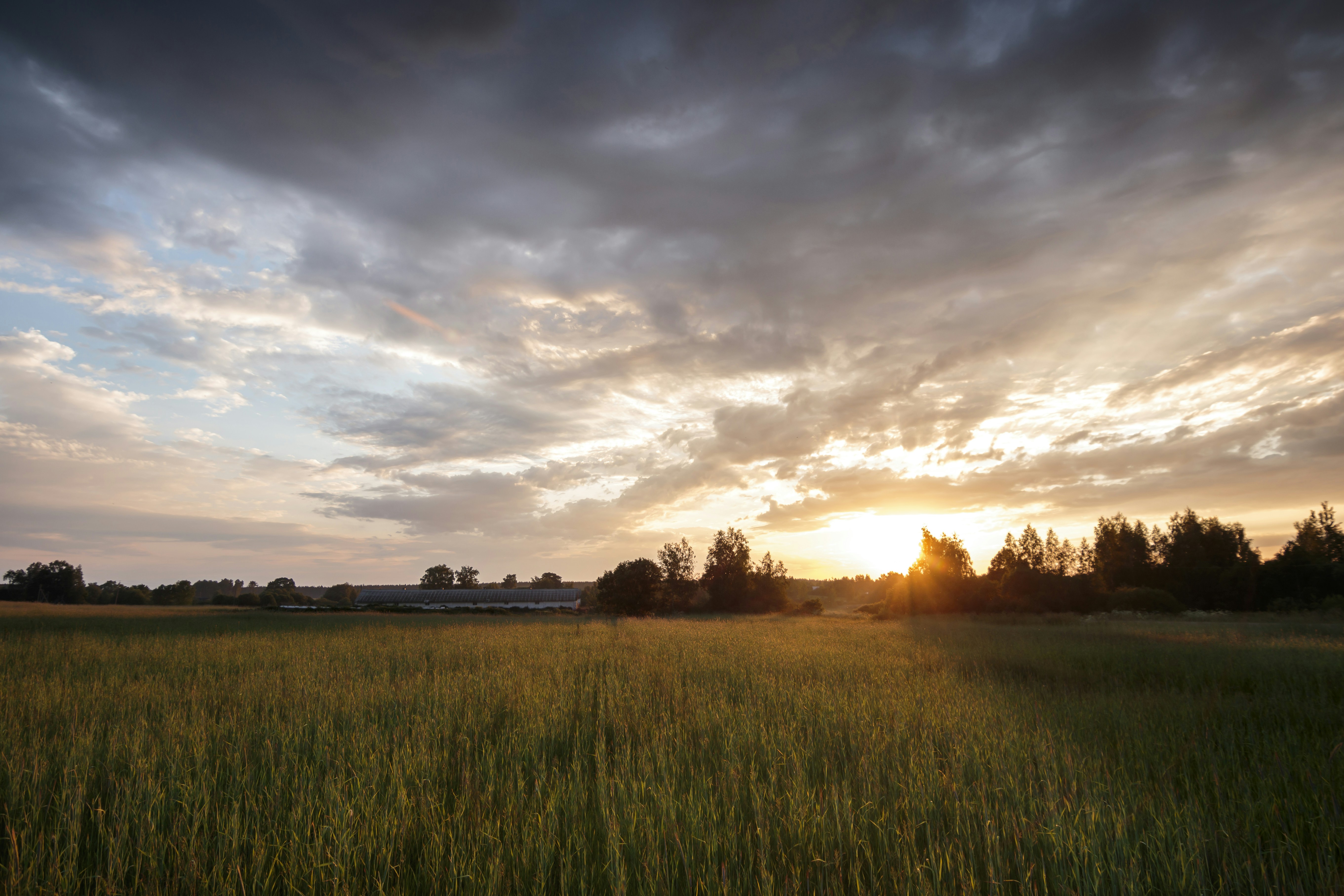 Photo by darkmoon_afa