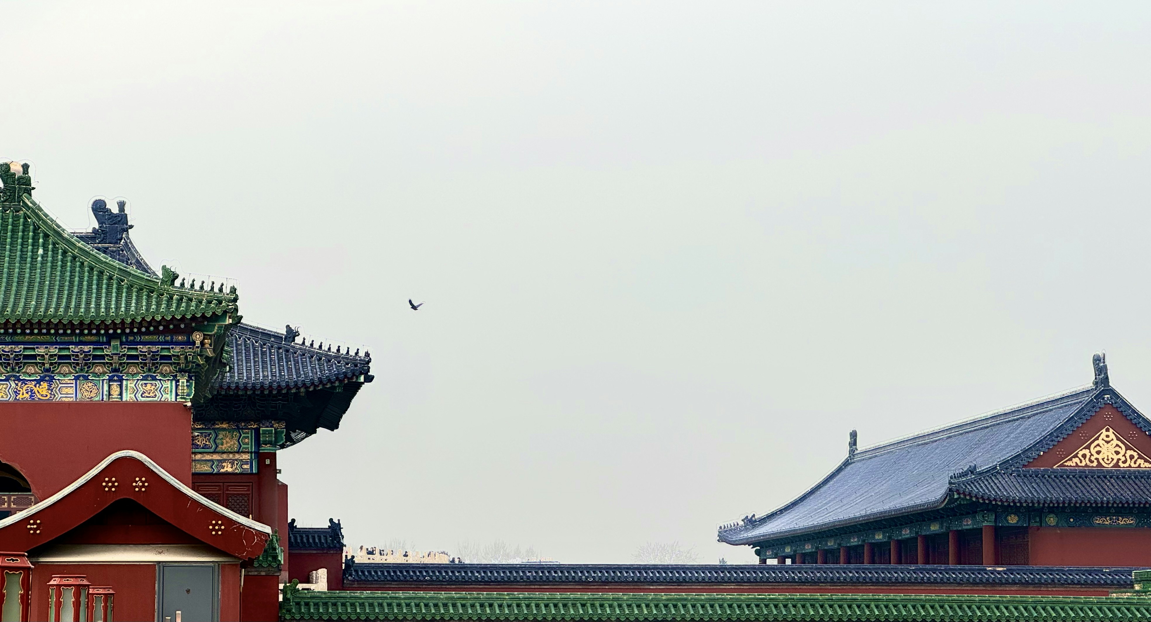 a red building with a bird flying over it - Beijing