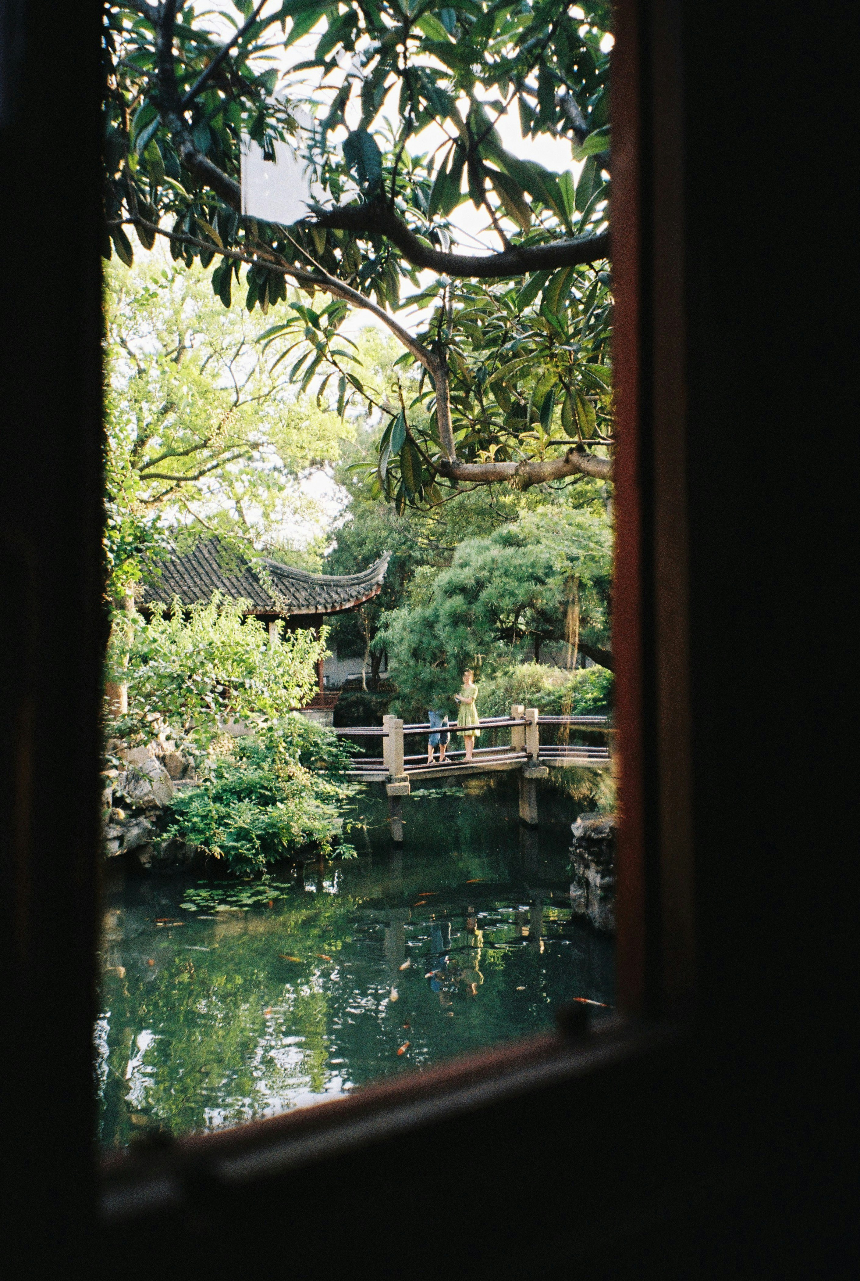 a view of a pond through a window