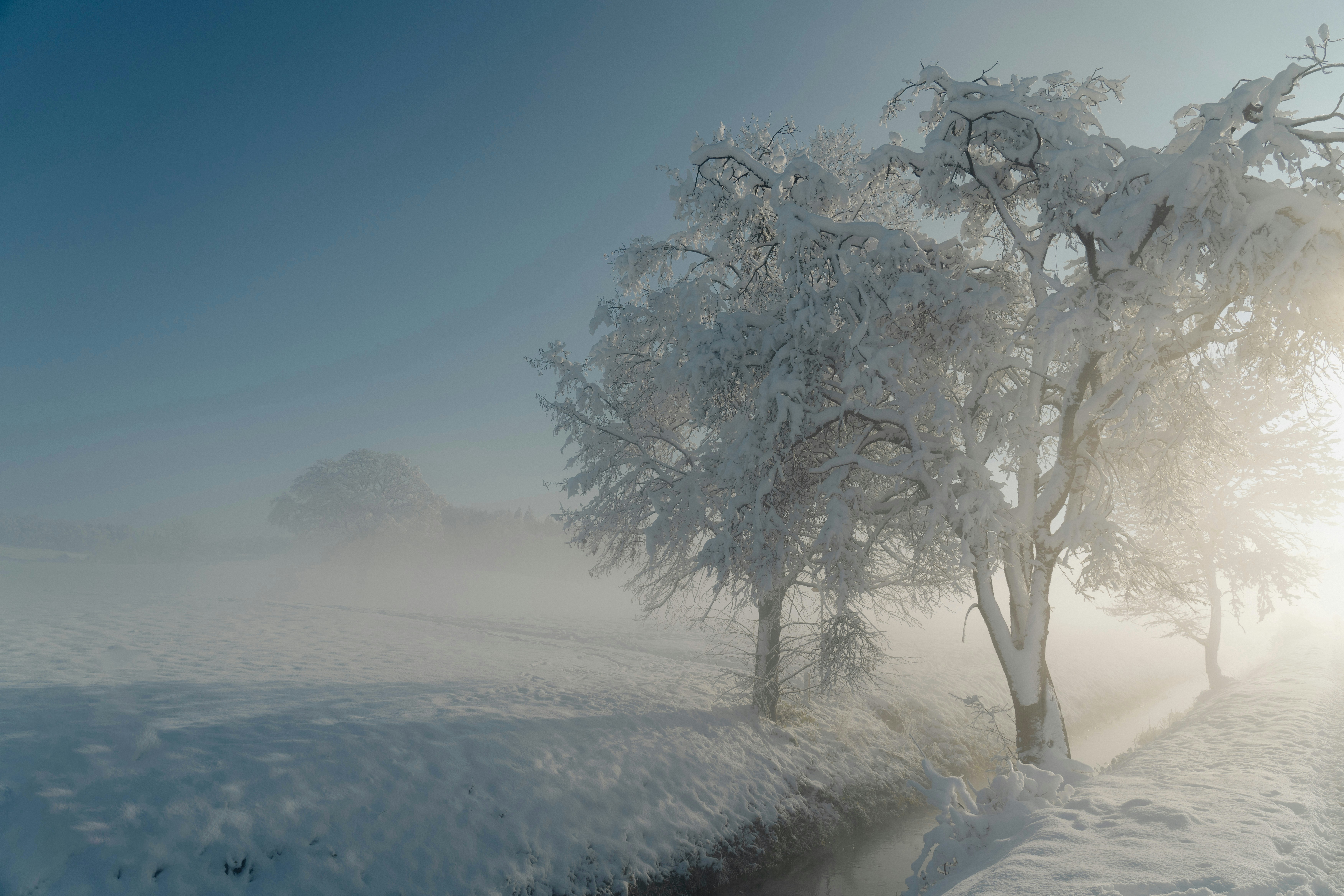 a snow covered field with trees in the foreground