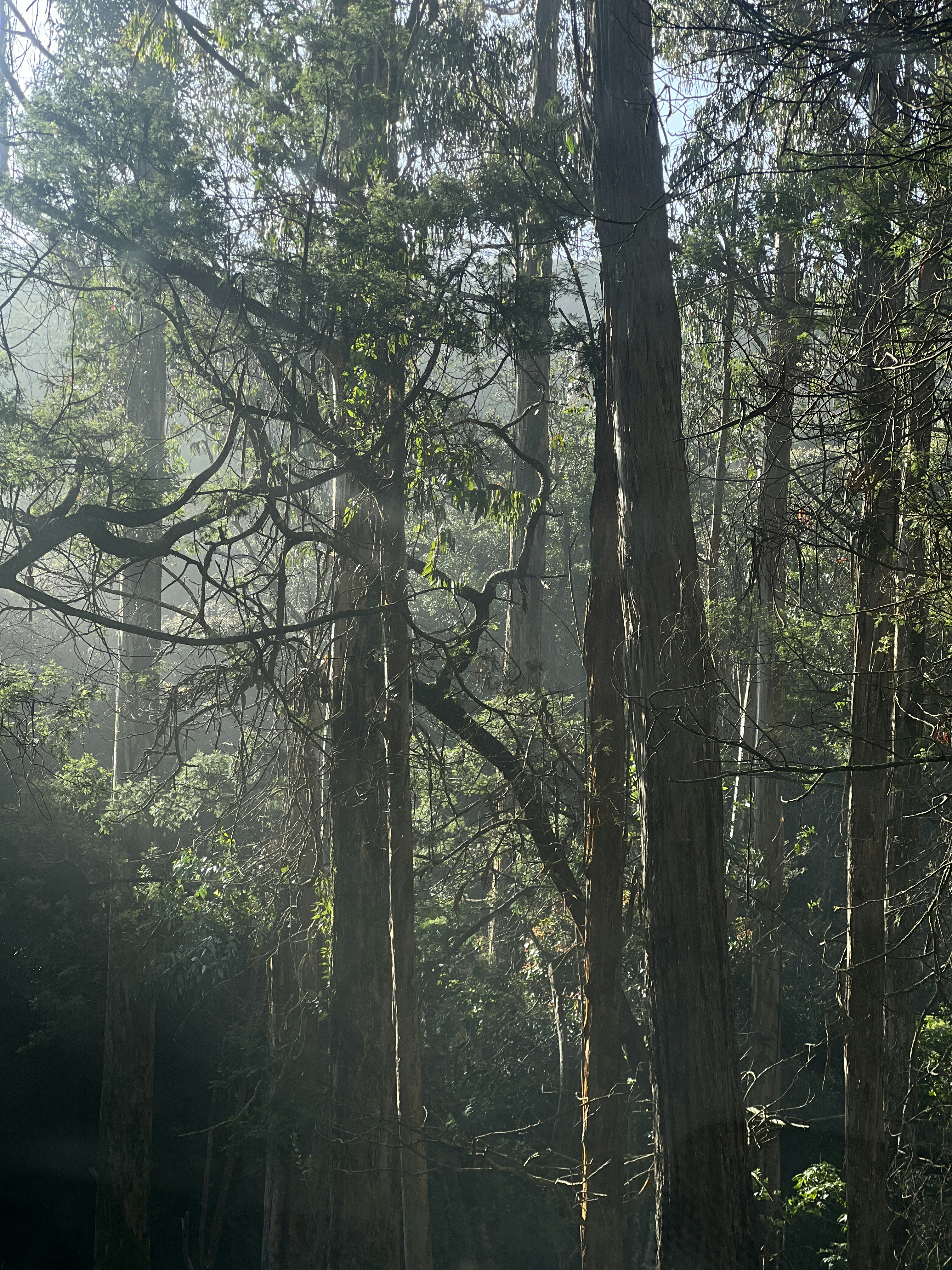 Photo by abinvarghese