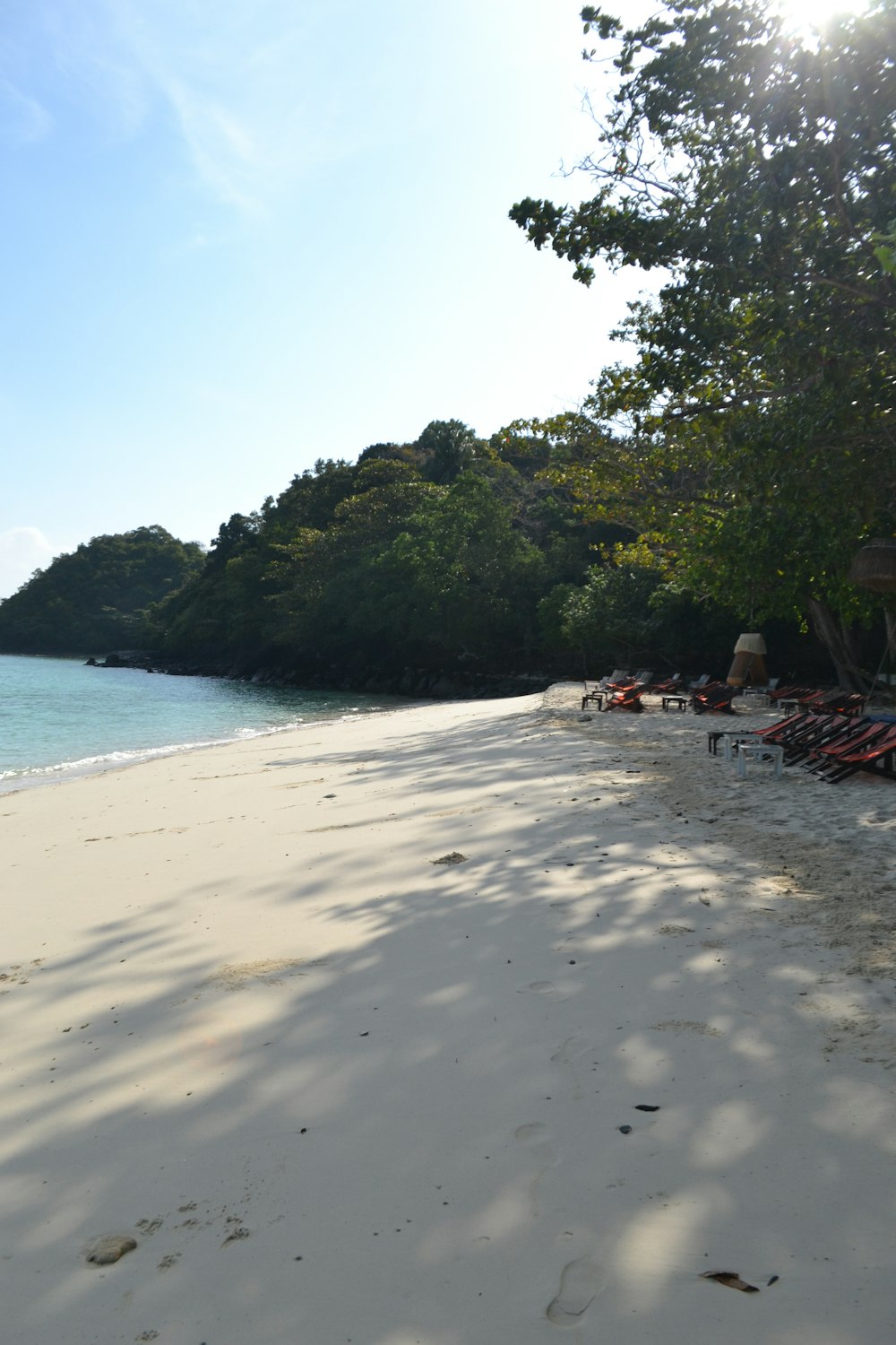 a sandy beach with lounge chairs and trees