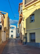a dog walking down a street next to tall buildings