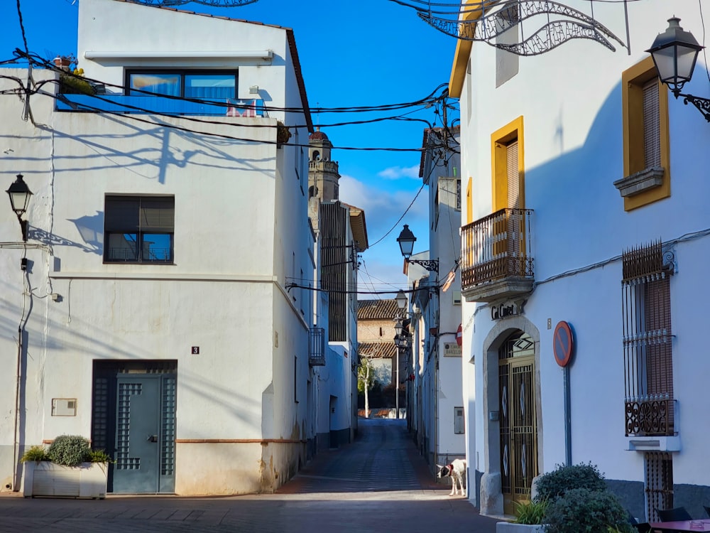 a narrow street lined with white buildings with yellow shutters