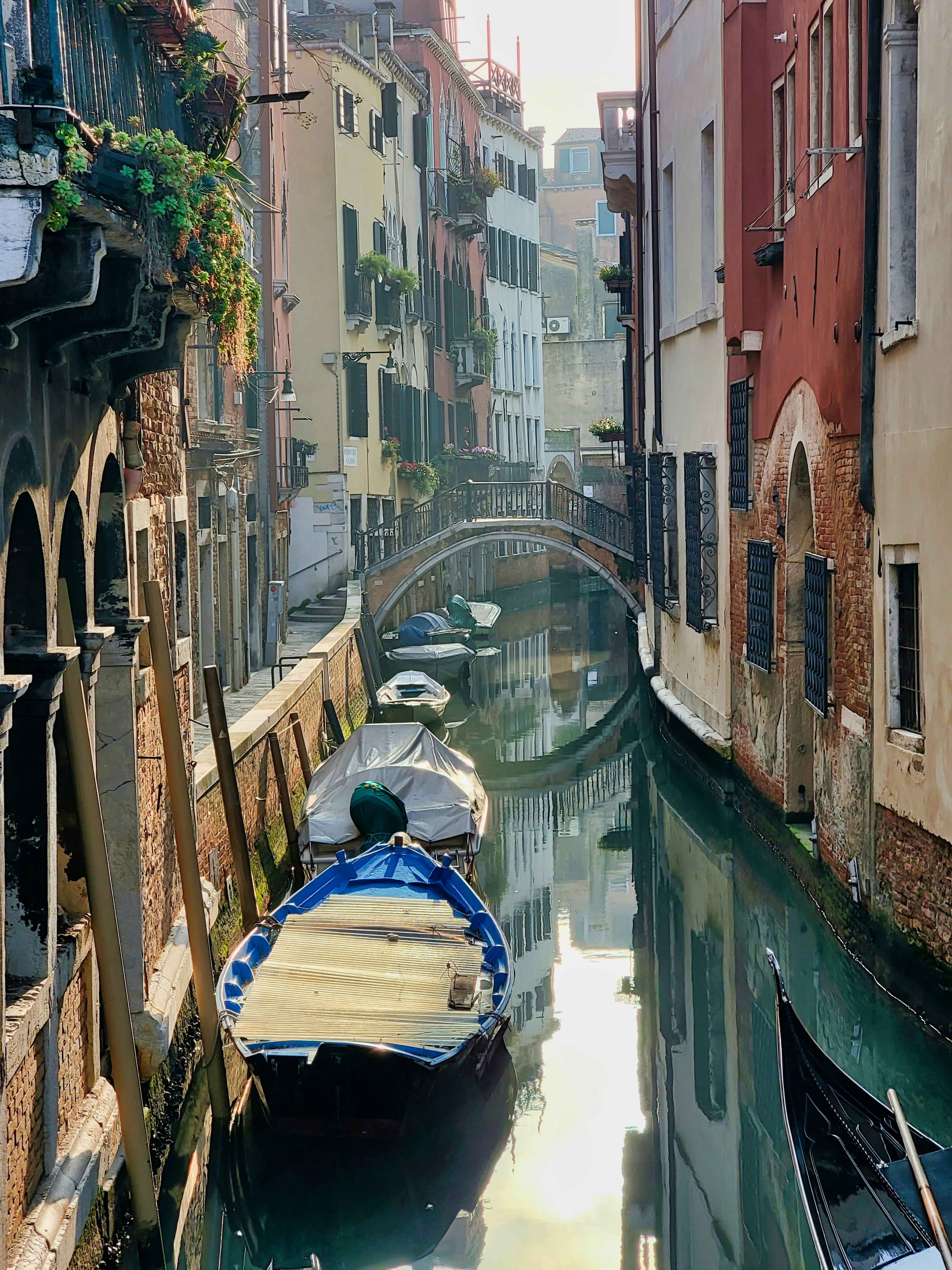 Photo by vladanraznatovic