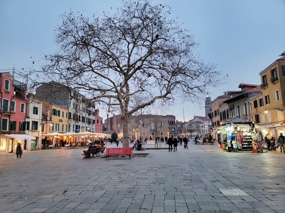 a tree in the middle of a city square