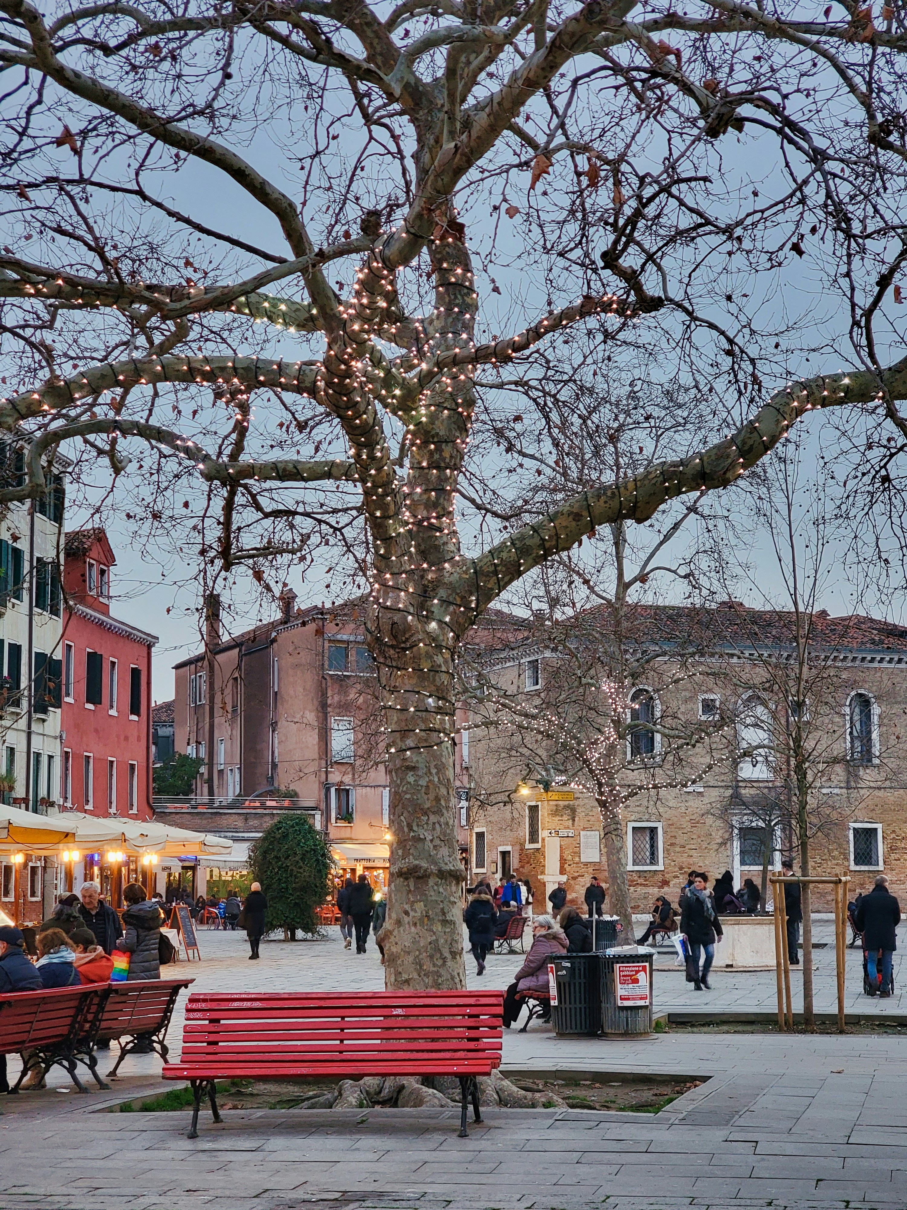 a red park bench sitting next to a tree