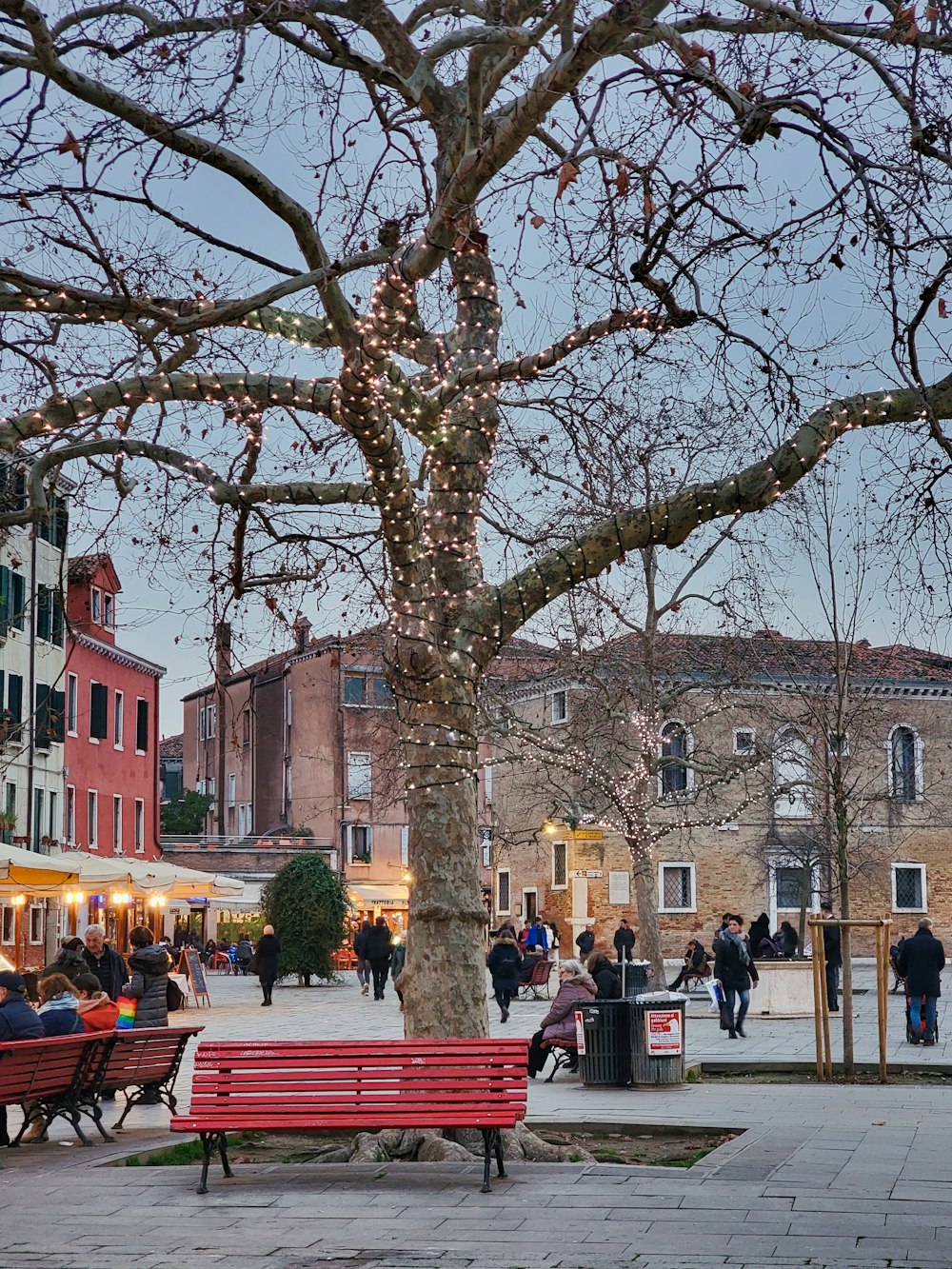 a red park bench sitting next to a tree