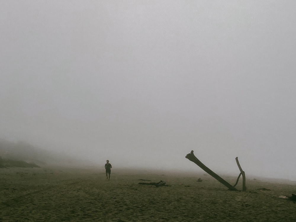 a person standing on a beach in the fog