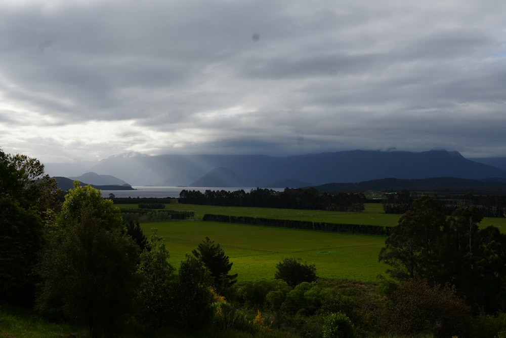 a green field with trees and mountains in the background