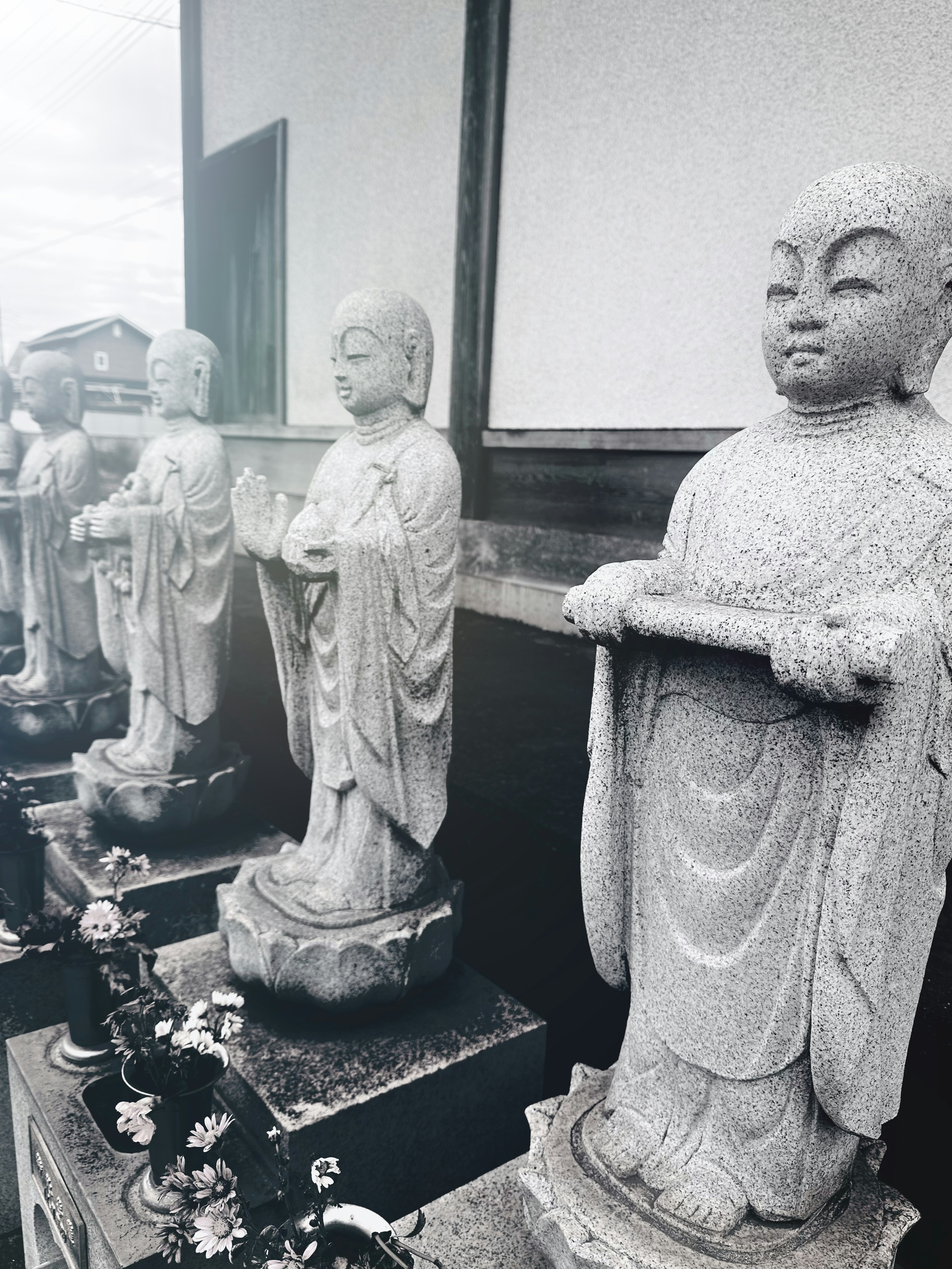 Photo by hanabusa_tabo