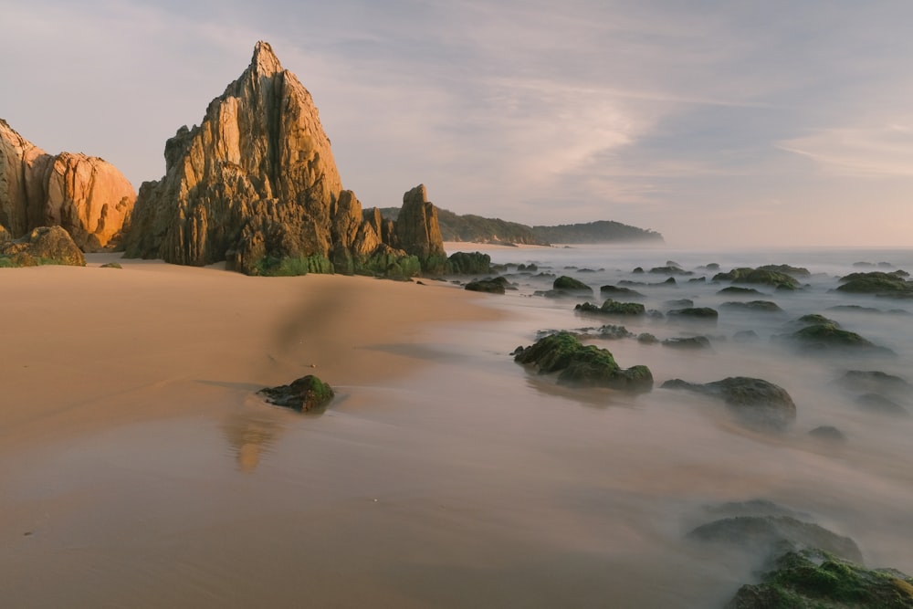 a sandy beach covered in lots of green rocks