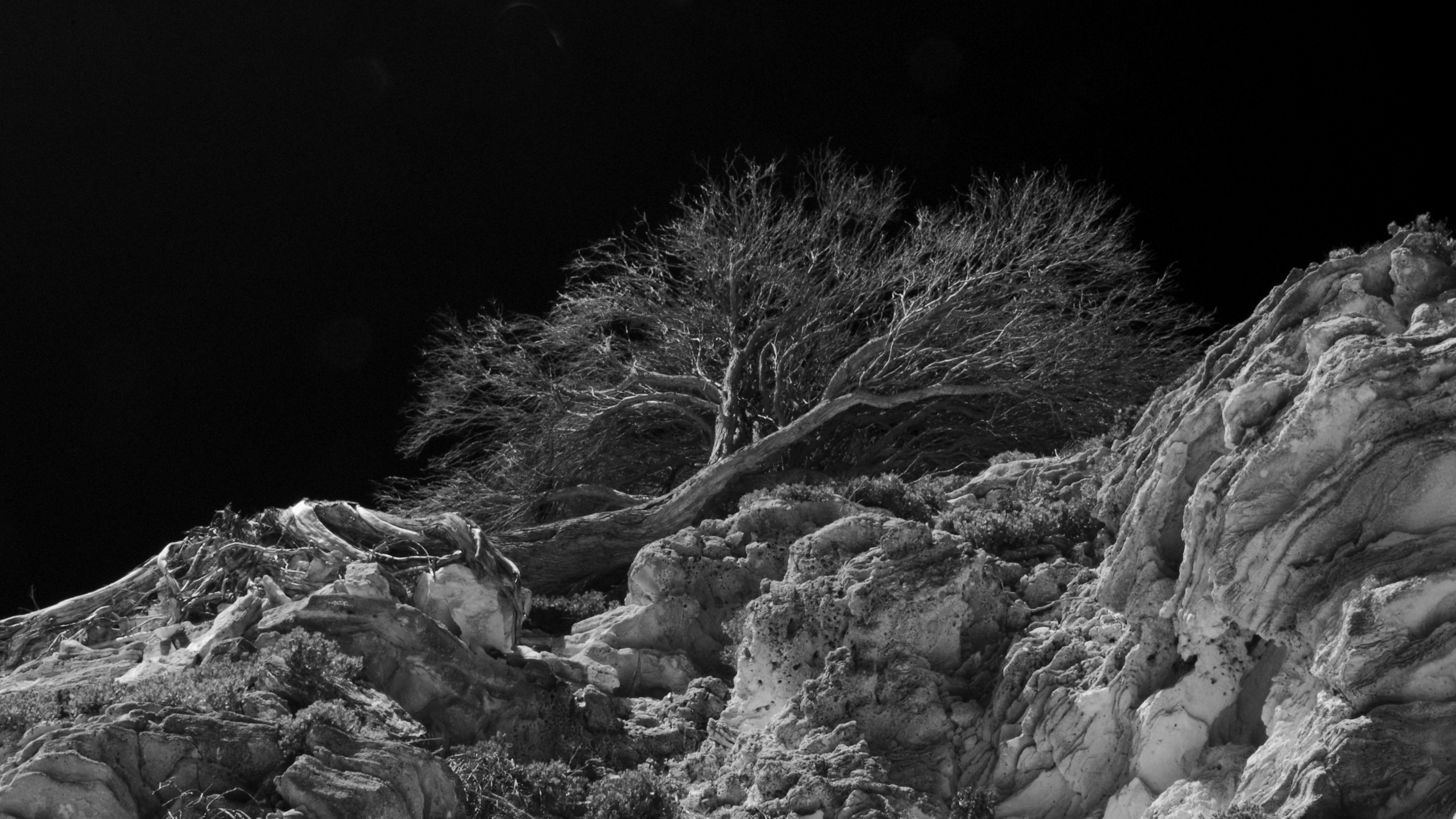 Photo by photoken123