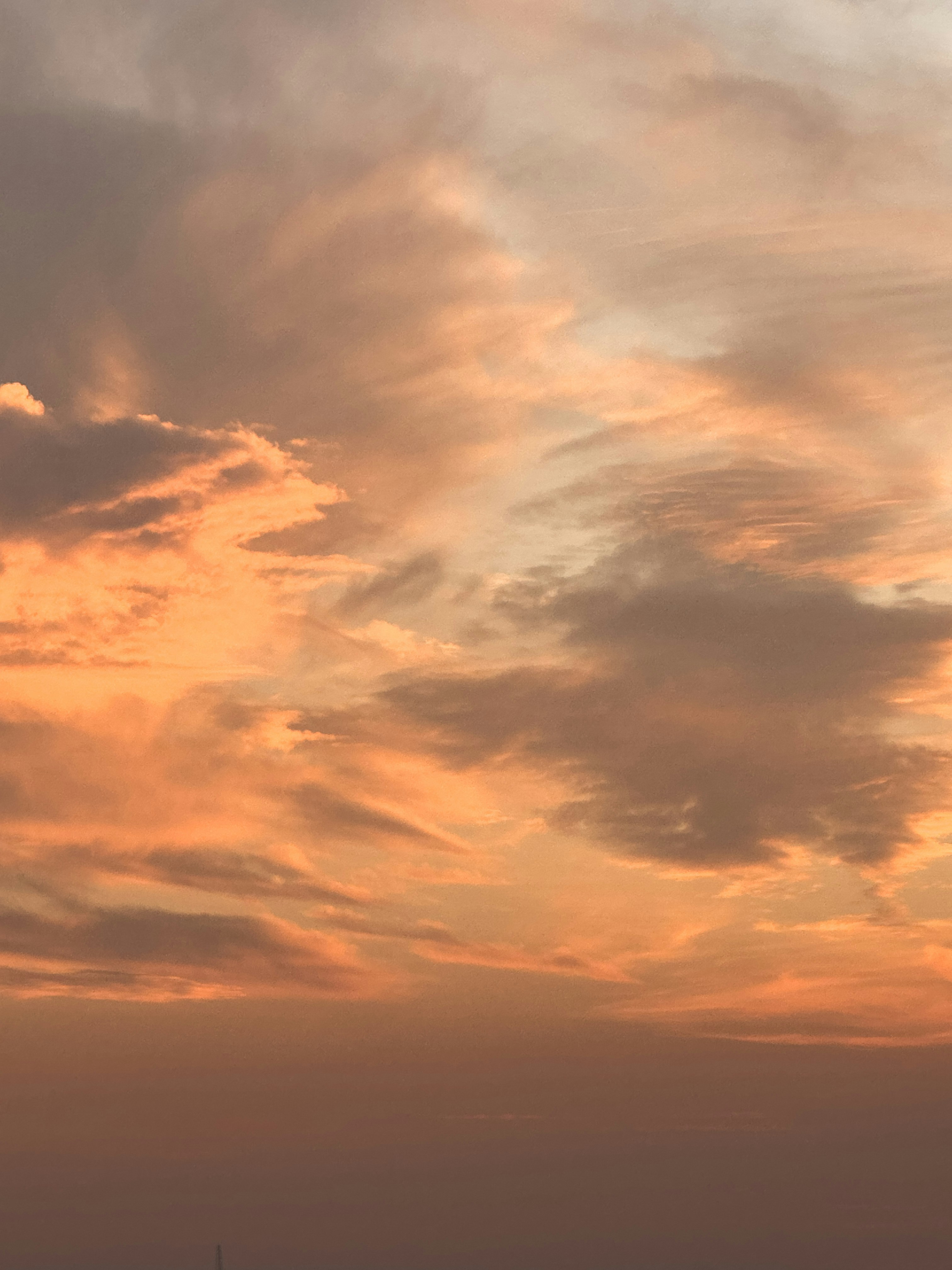 Photo by mahtaparsafar