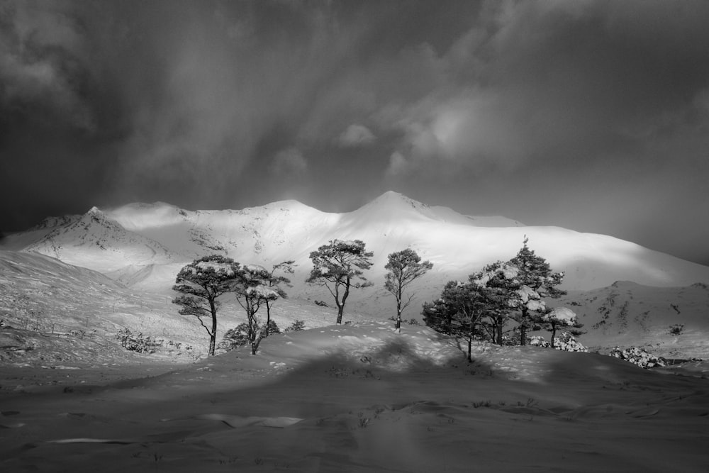 a black and white photo of a snow covered mountain