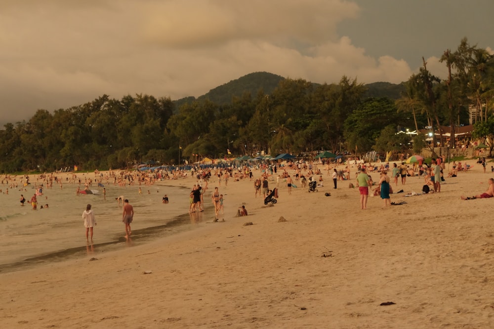 a large group of people on a beach