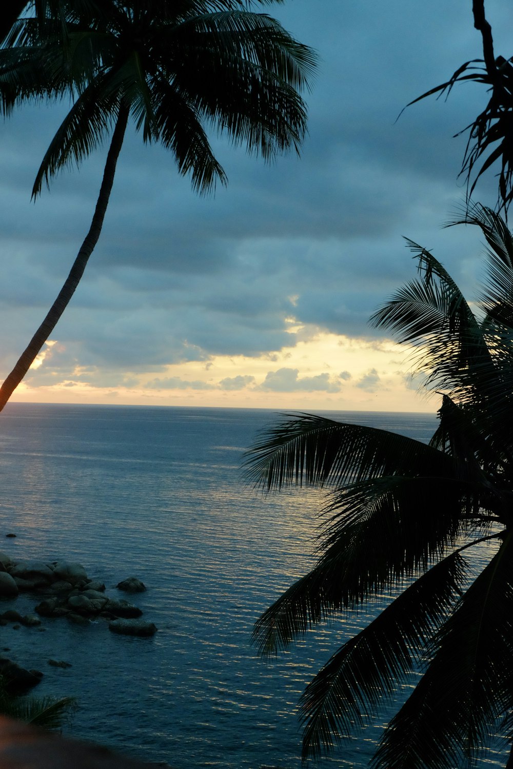 a couple of palm trees sitting on top of a beach