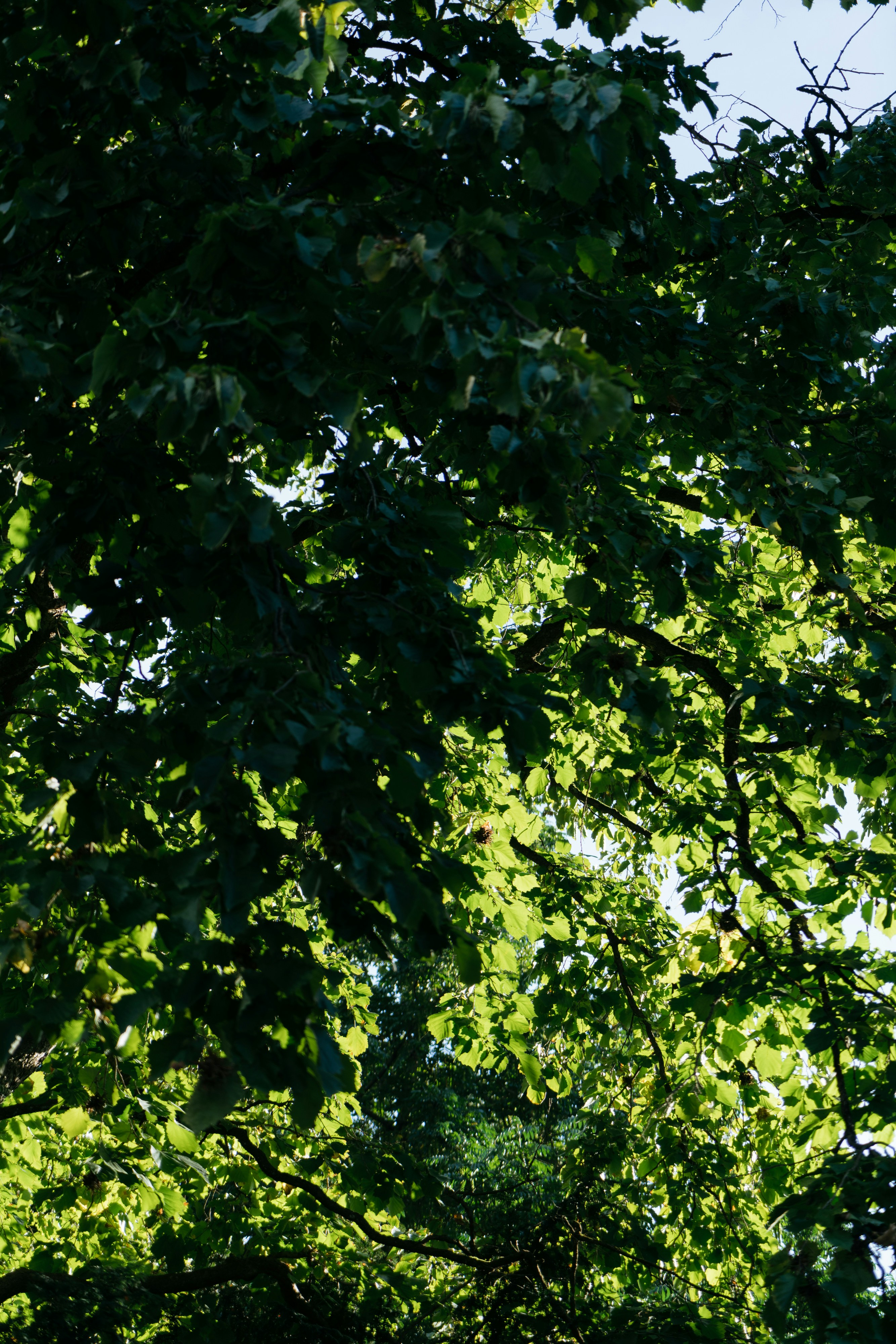 Photo by markuswinkler