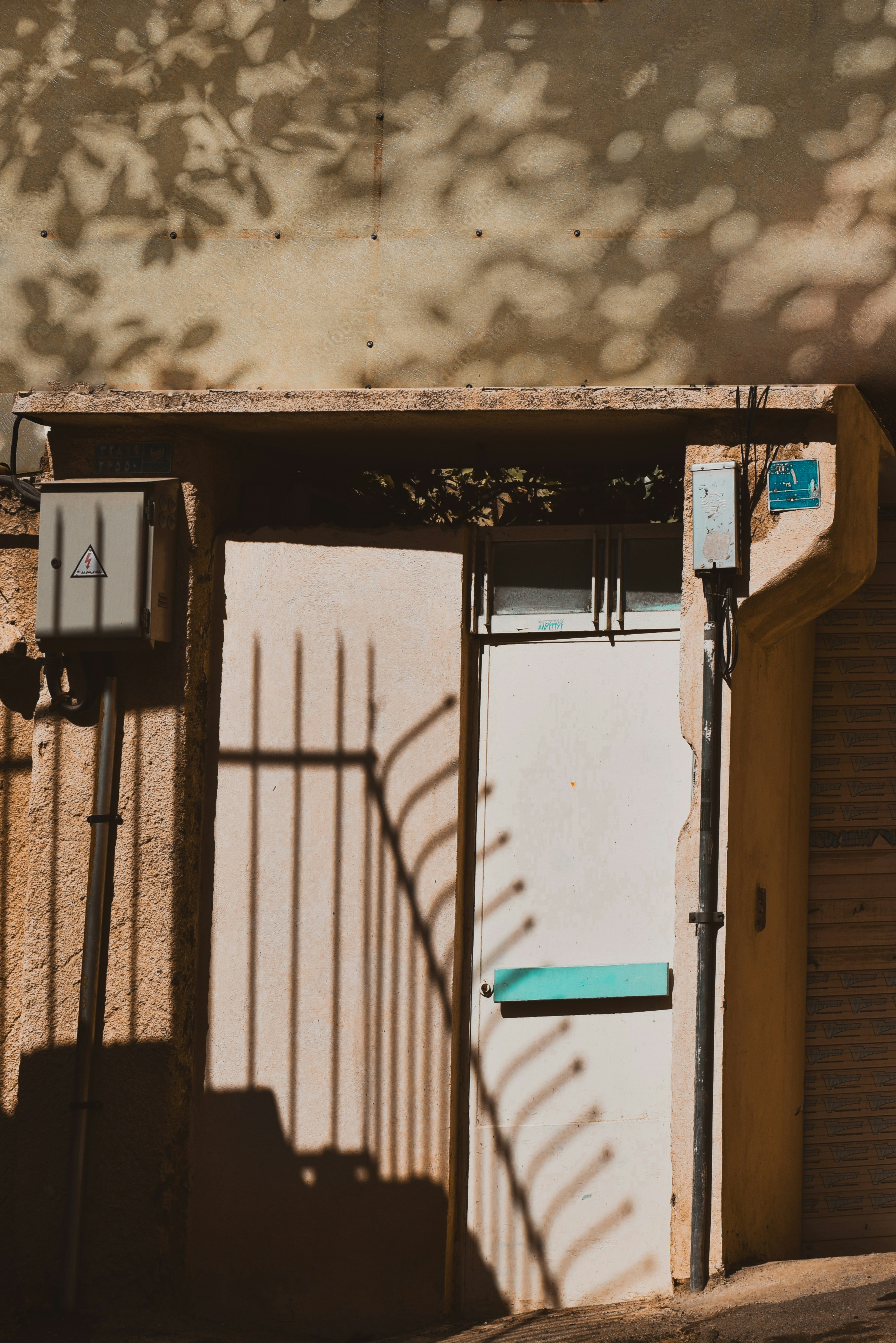 Photo by mahtaparsafar