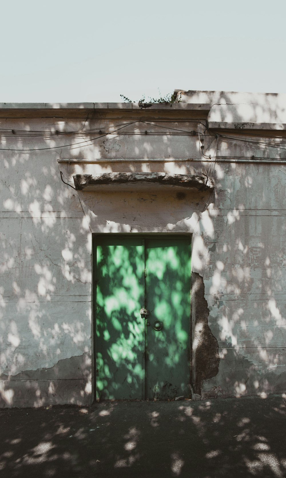 a building with a green door and a tree shadow