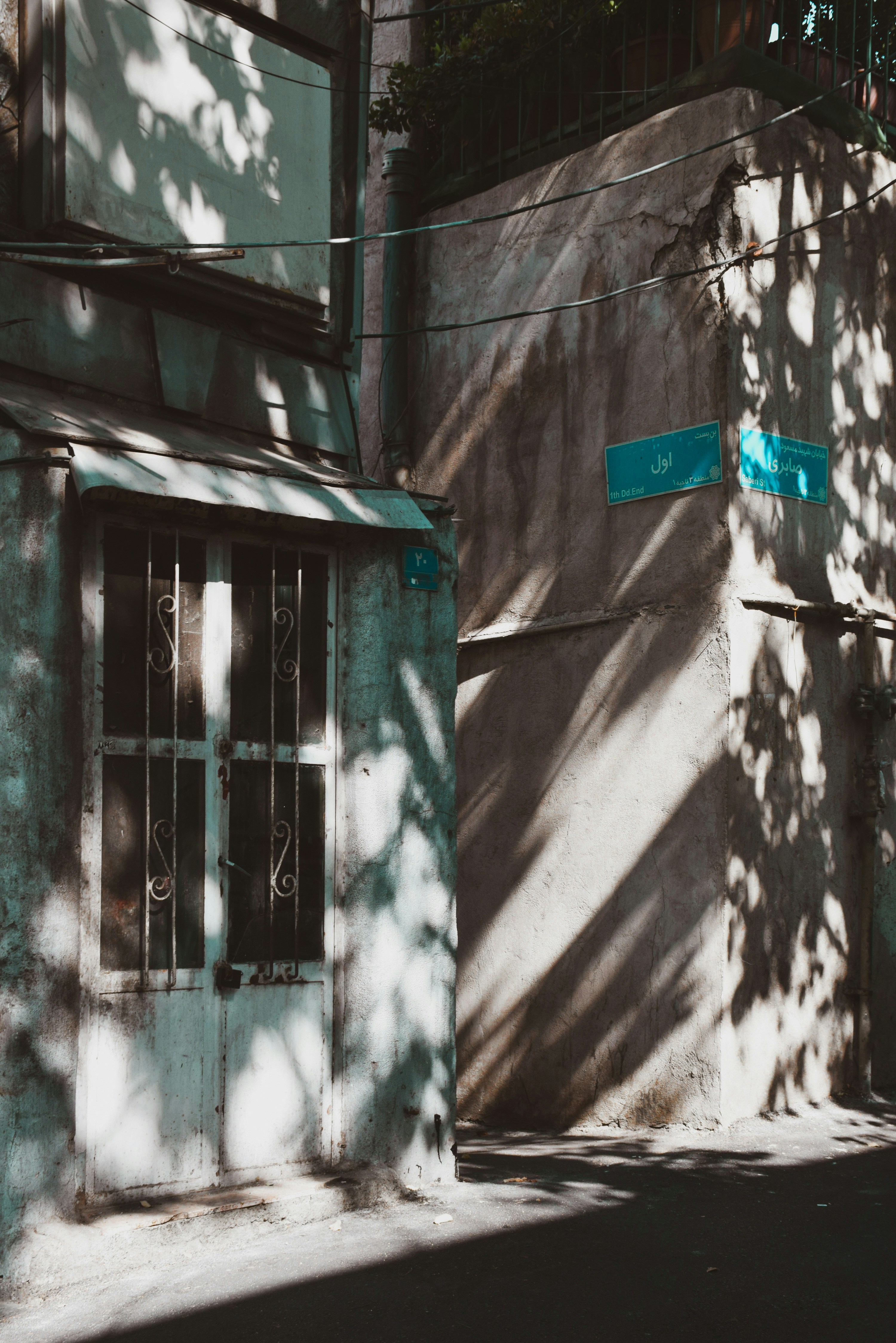 la sombra de un árbol en el costado de un edificio